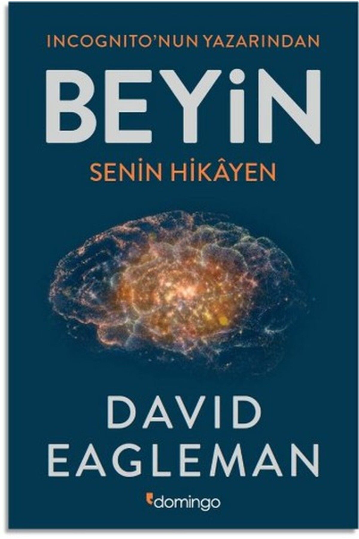 Domingo Yayınevi Beyin Senin Hikayen