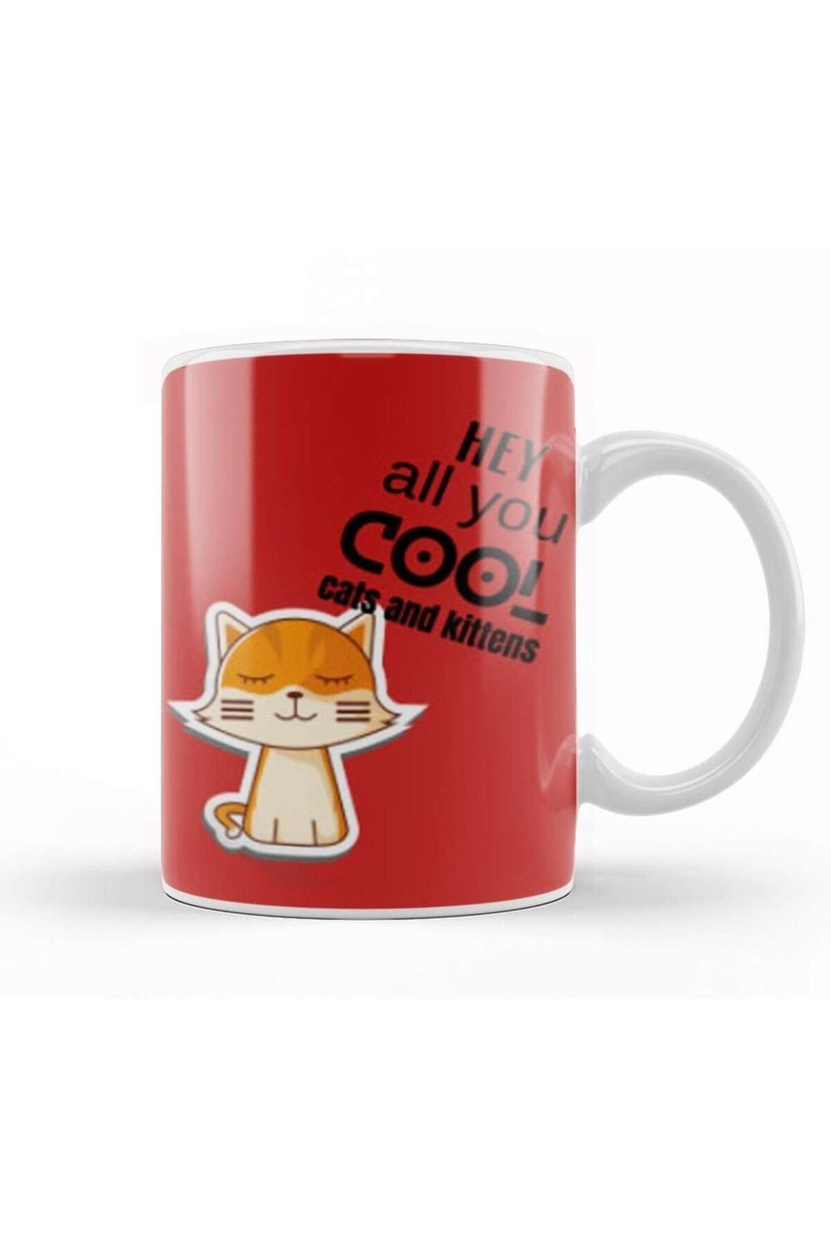dekado Hey Aall You Cool Ccats And Kittens Kupa Bardak Porselen