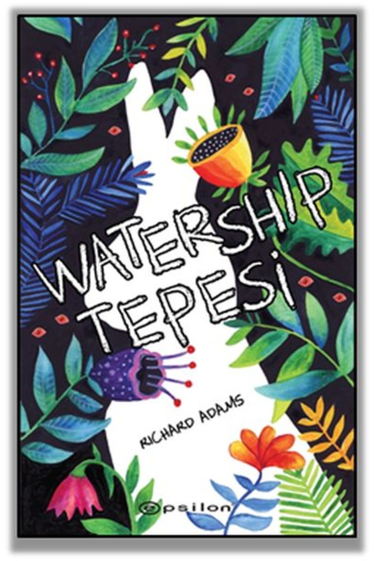 Epsilon Yayınevi Watership Tepesi