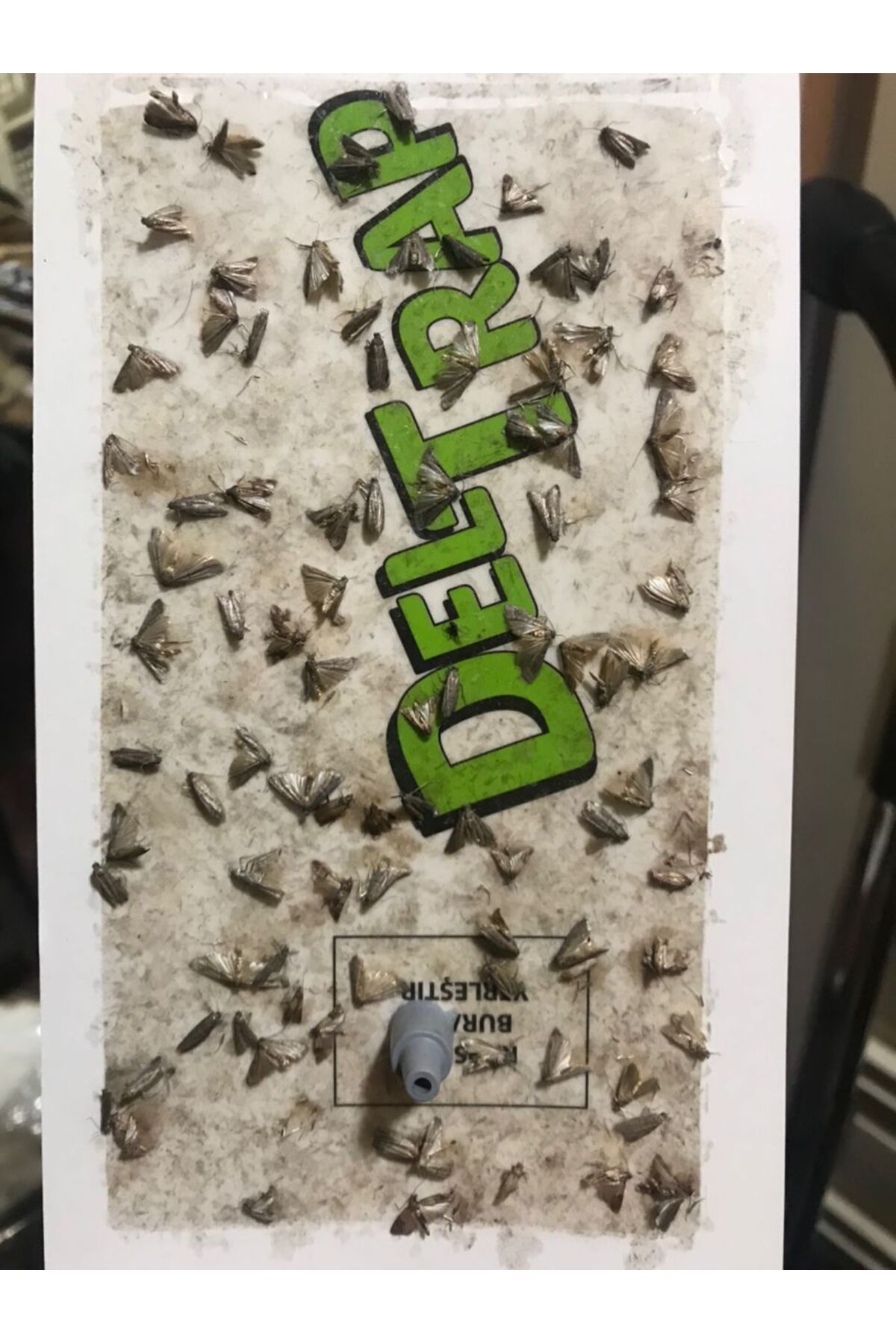 Delta Market Güve Feromonu - Güve Kontrol - Güve Çekici Tuzak - Güve Yapışkan Plaka ile birlikte