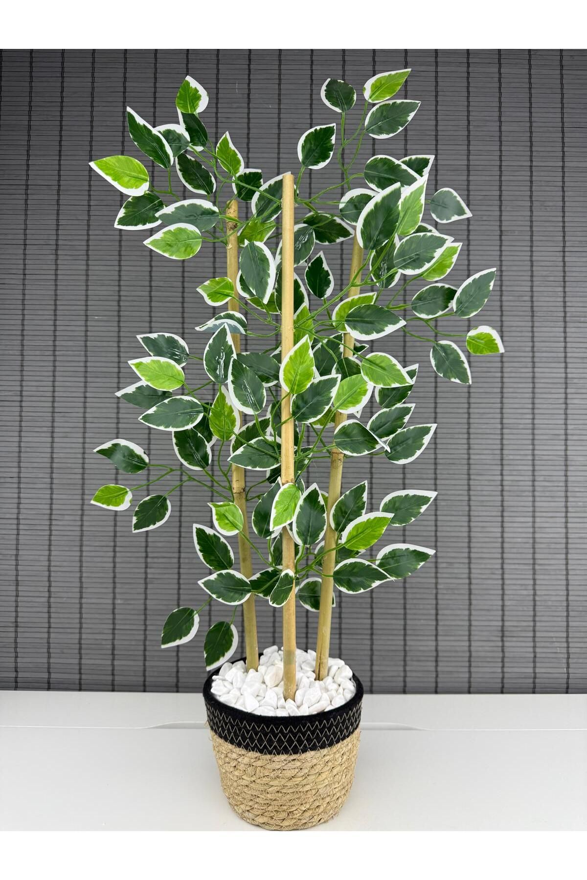 Bahçem Yoğun Yapraklı Dekoratif Benjamin Ağacı Hasır Sea Grass/Koton Saksılı 3 Gövde 70cm