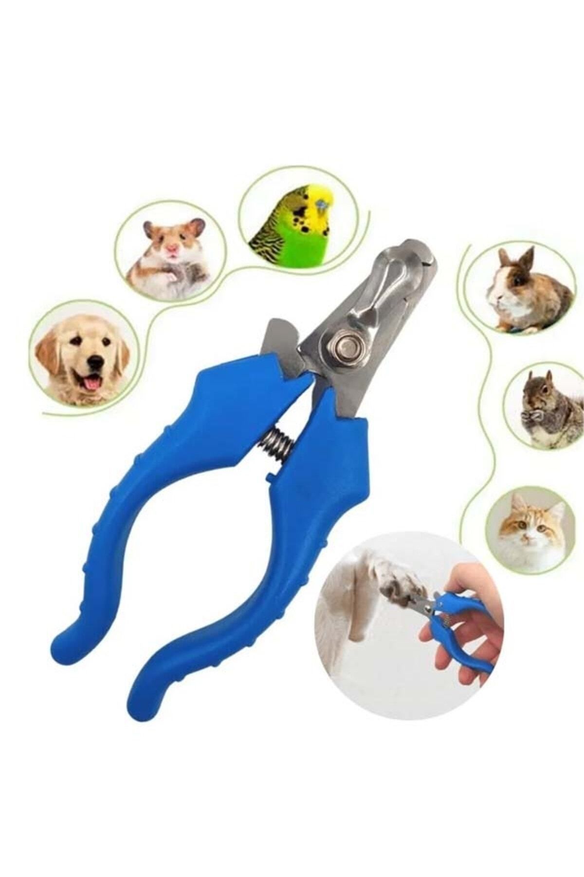 AyKa AVM Kedi Ve Köpek Tırnak Makası Evcil Hayvan Kedi Köpek Tavşan Kuş Tırnak Makası