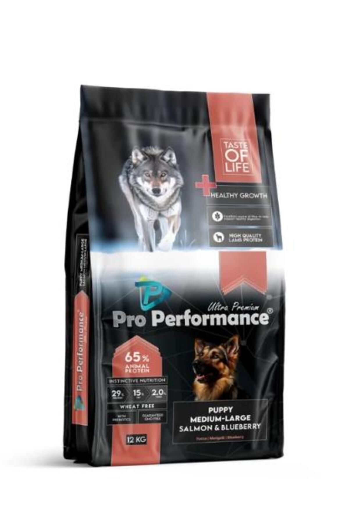 PERFORMANCE Pro Performance Ultra Premium Orta ve Büyük Irklar İçin Somonlu ve Yaban Mersinli Yavru Köpek Maması
