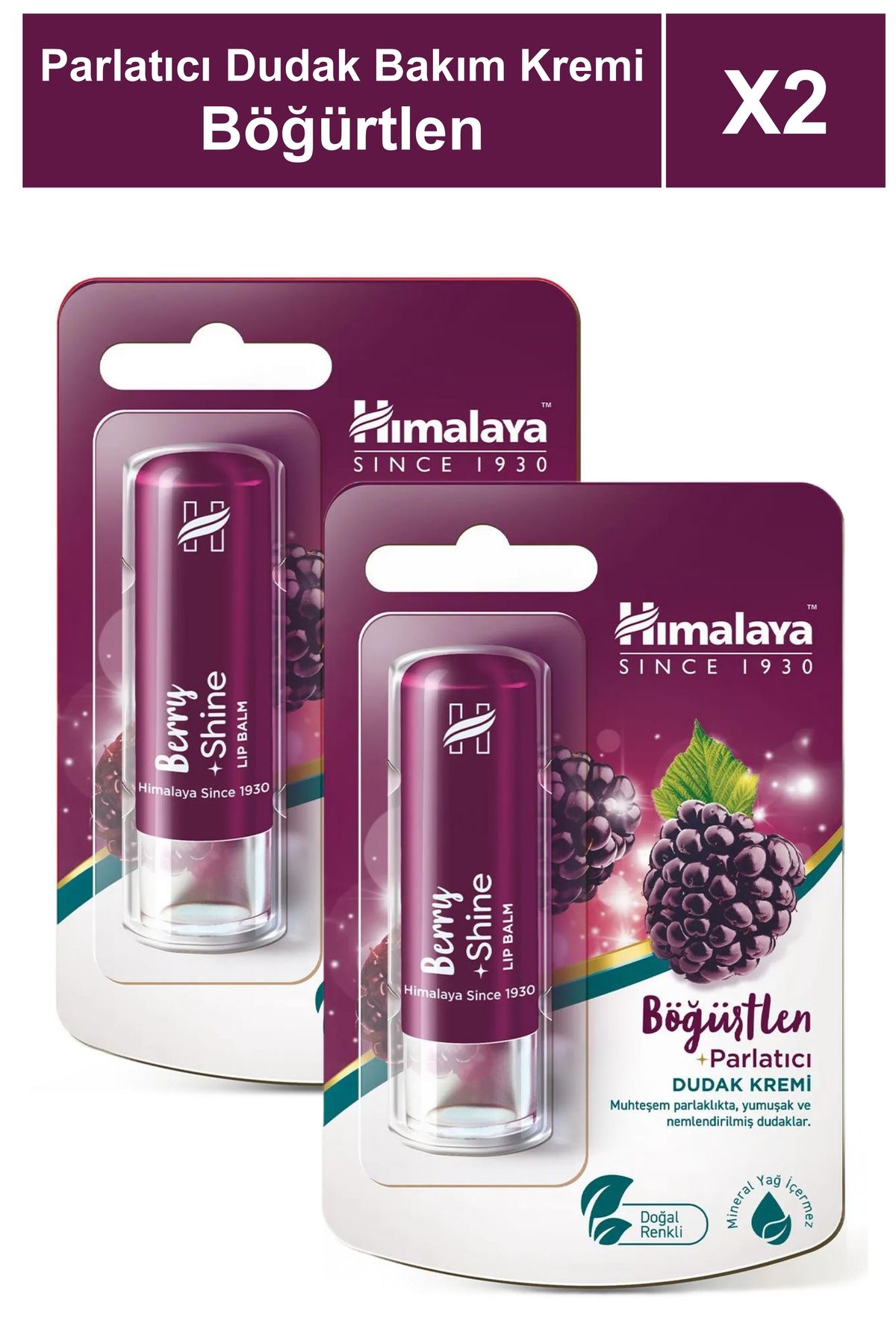 Himalaya Since 1930 Parlatıcı Dudak Bakım Kremi 4,5 gr 2 Adet | Böğürtlen | Silikon, Petrol İçermez