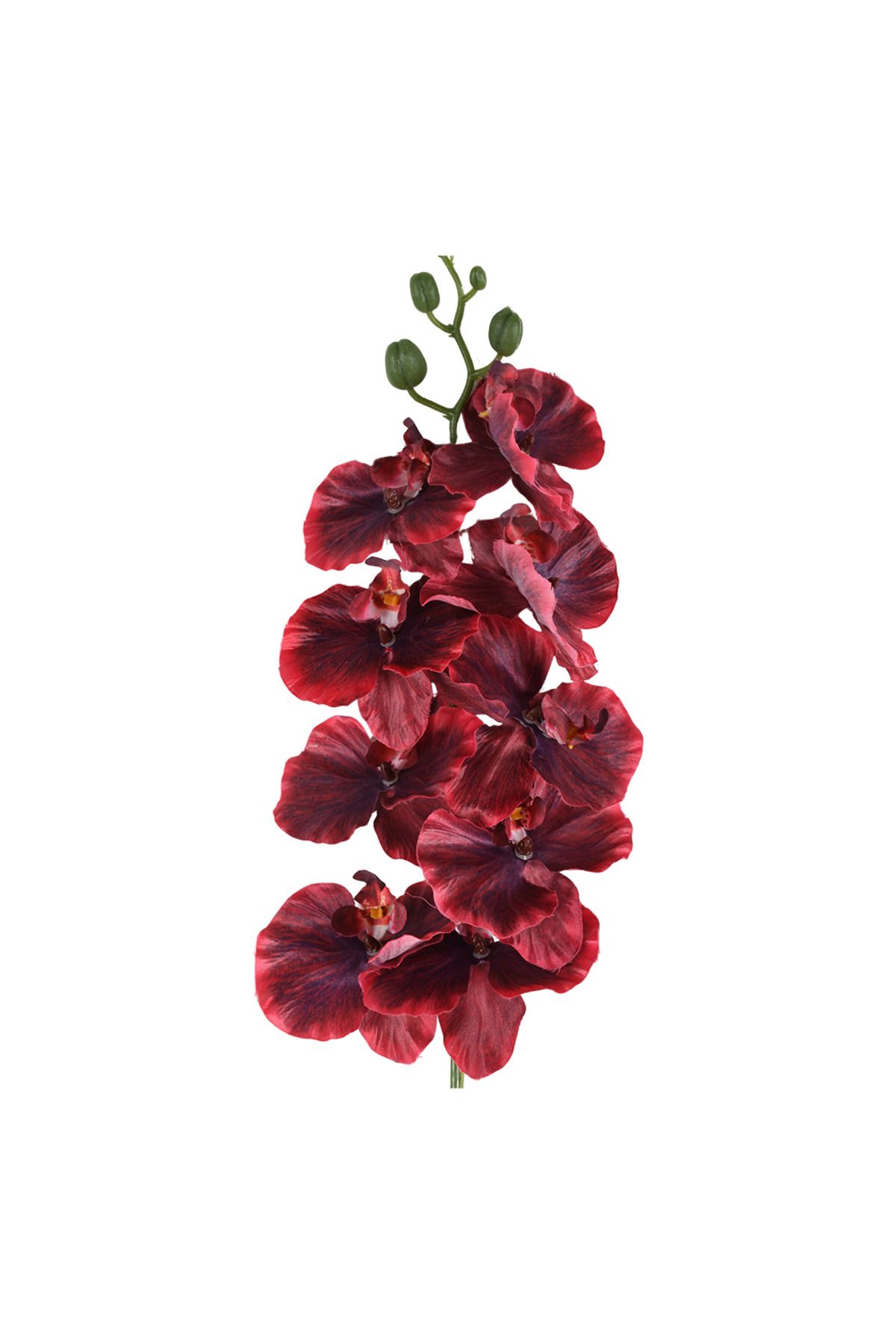 Leona Dekoratif Ürünler ORCHID YAPAY CICEK KIRMIZI