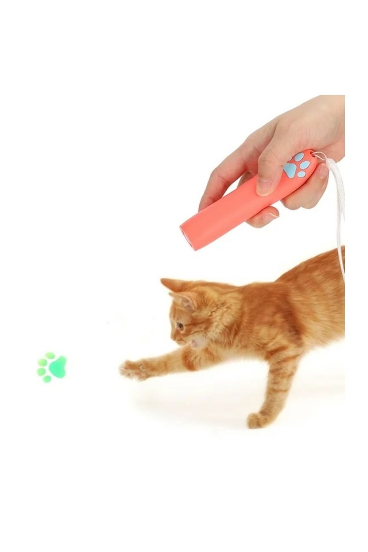 Universal-Toy with LED light that projects an animal paw for cats, for training 5