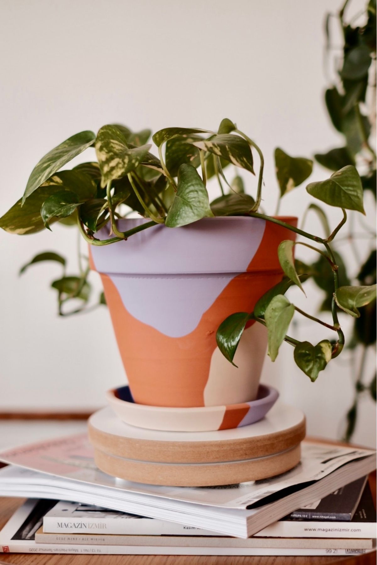 zef design store Terracotta Konik Saksı+Tabak•Lilanın Tonları•5 Farklı Seçenekle(Küçük•Orta•Büyük•2li Set•3lü Set)