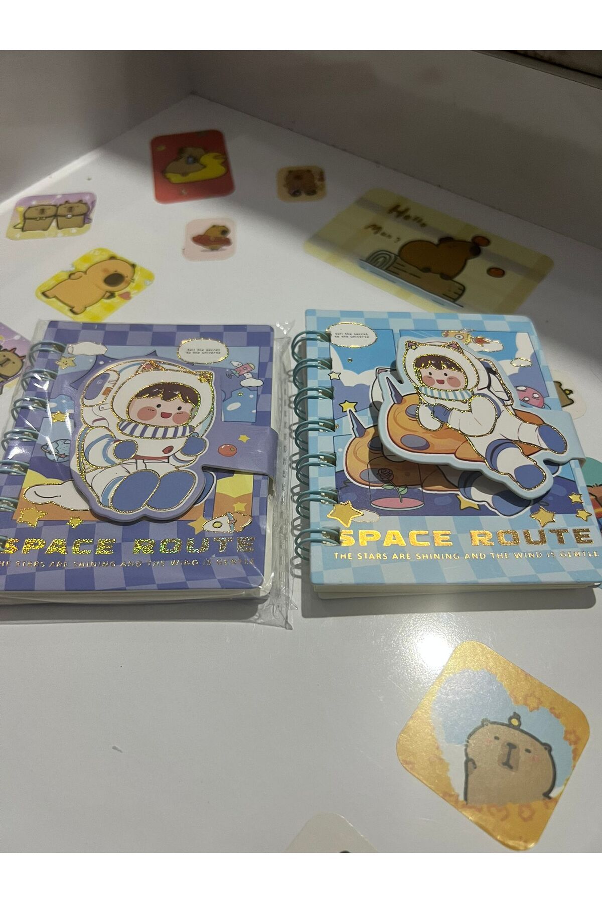 demirosa 2 ADET ASTRONOT MİNİ NOT DEFTERİ