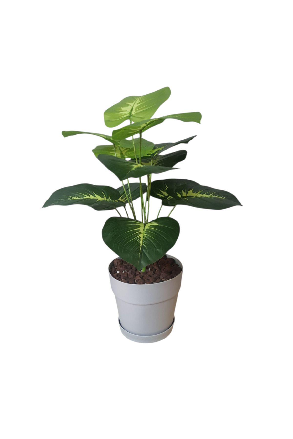 Lemonhouse 1.Kalite Difenbahya Yapay Salon Büro Ofis Çiçeği 65 69 cm