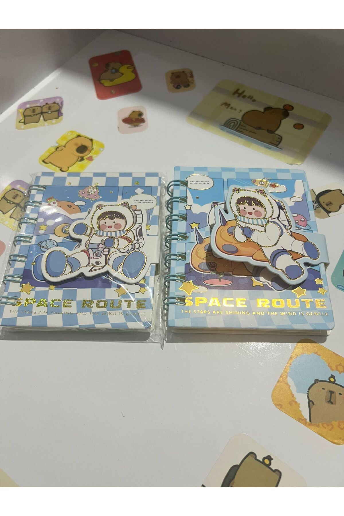 demirosa 2 Adet Astronot Mini Not Defteri