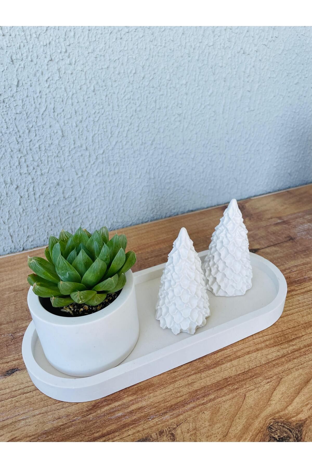 terra atölye Modern Minimalist Seramik Saksı – Şık ve Doğal