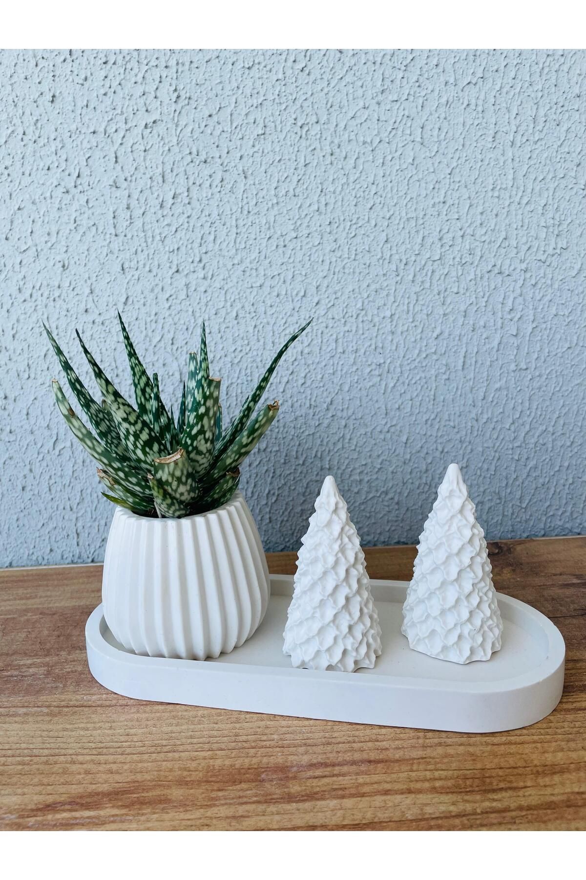 terra atölye Modern Minimalist Seramik Saksı – Şık ve Doğal