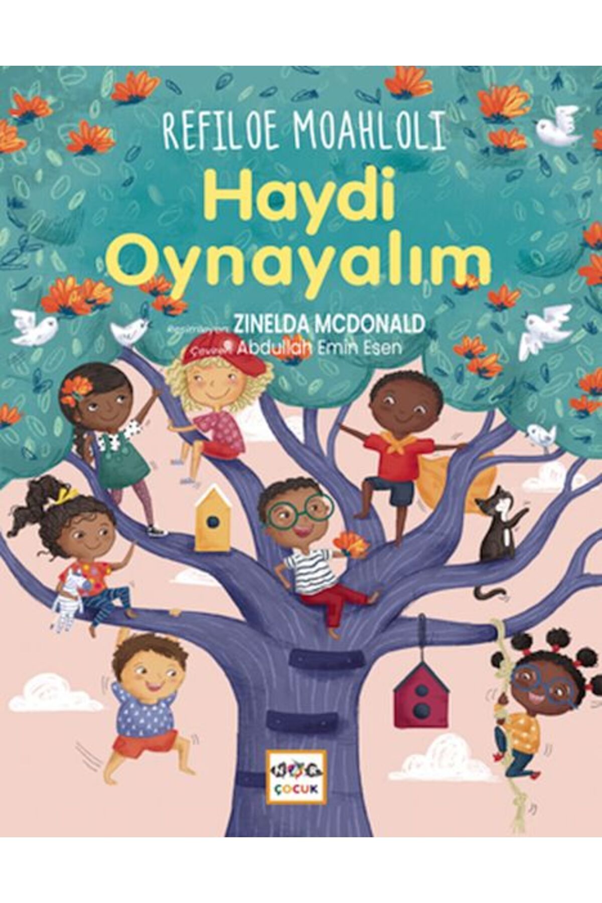Nar Yayınları Haydi Oynayalım