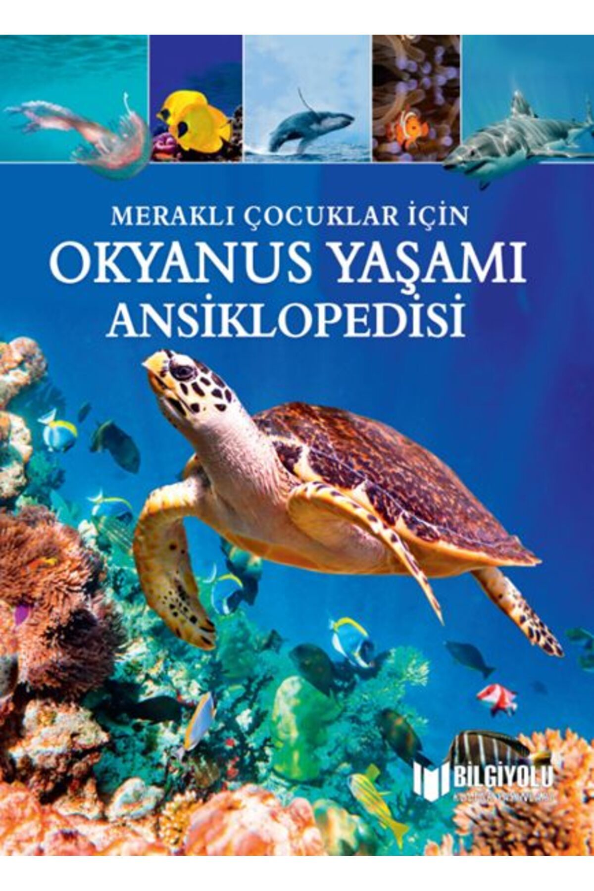 Genç Destek Meraklı Çocuklar İçin Okyanus Yaşamı Ansiklopedisi