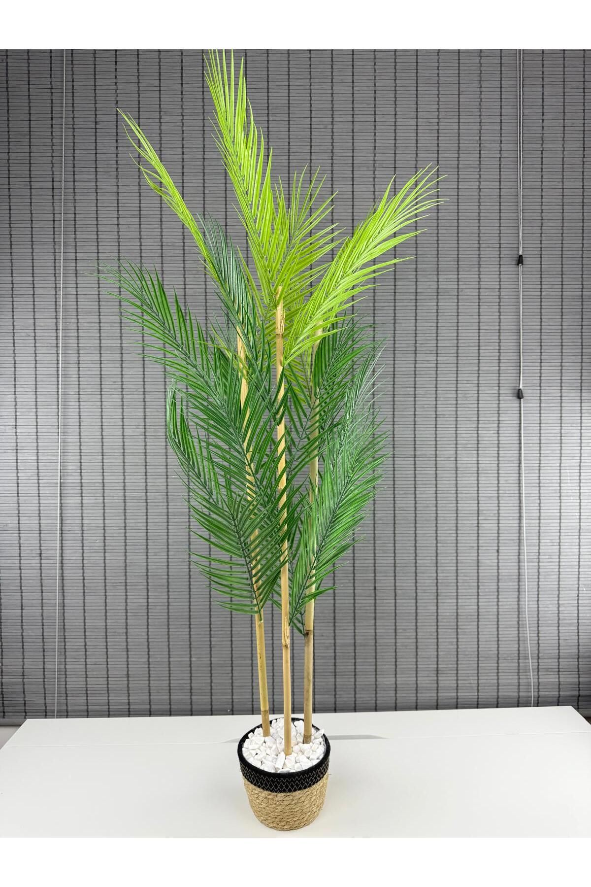 Bahçem Dekoratif Yapay Yapraklı Hasır Sea Grass/Siyah Koton Saksılı Areka Palmiye Ağacı 3 Gövde 120cm