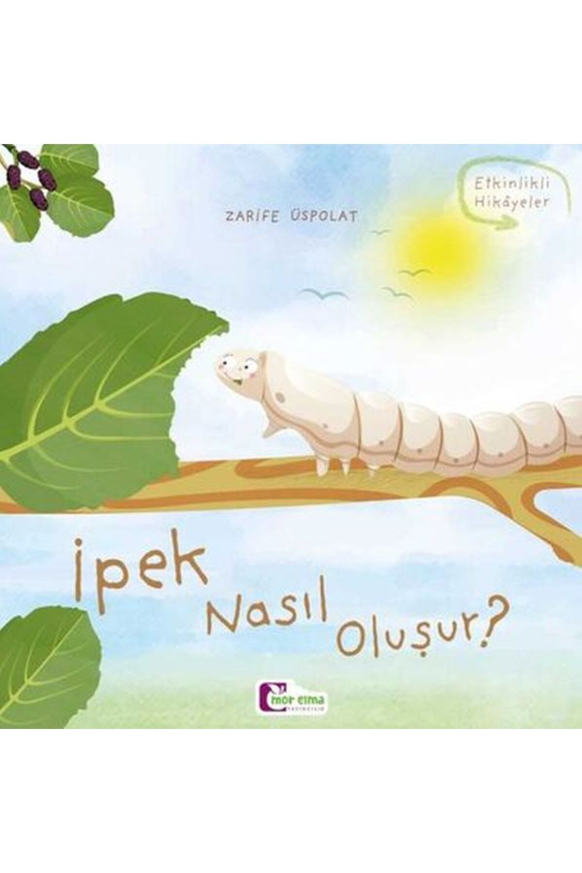 Destek Yayınları Oluşum Hikayeleri - İpek nasıl oluşur?