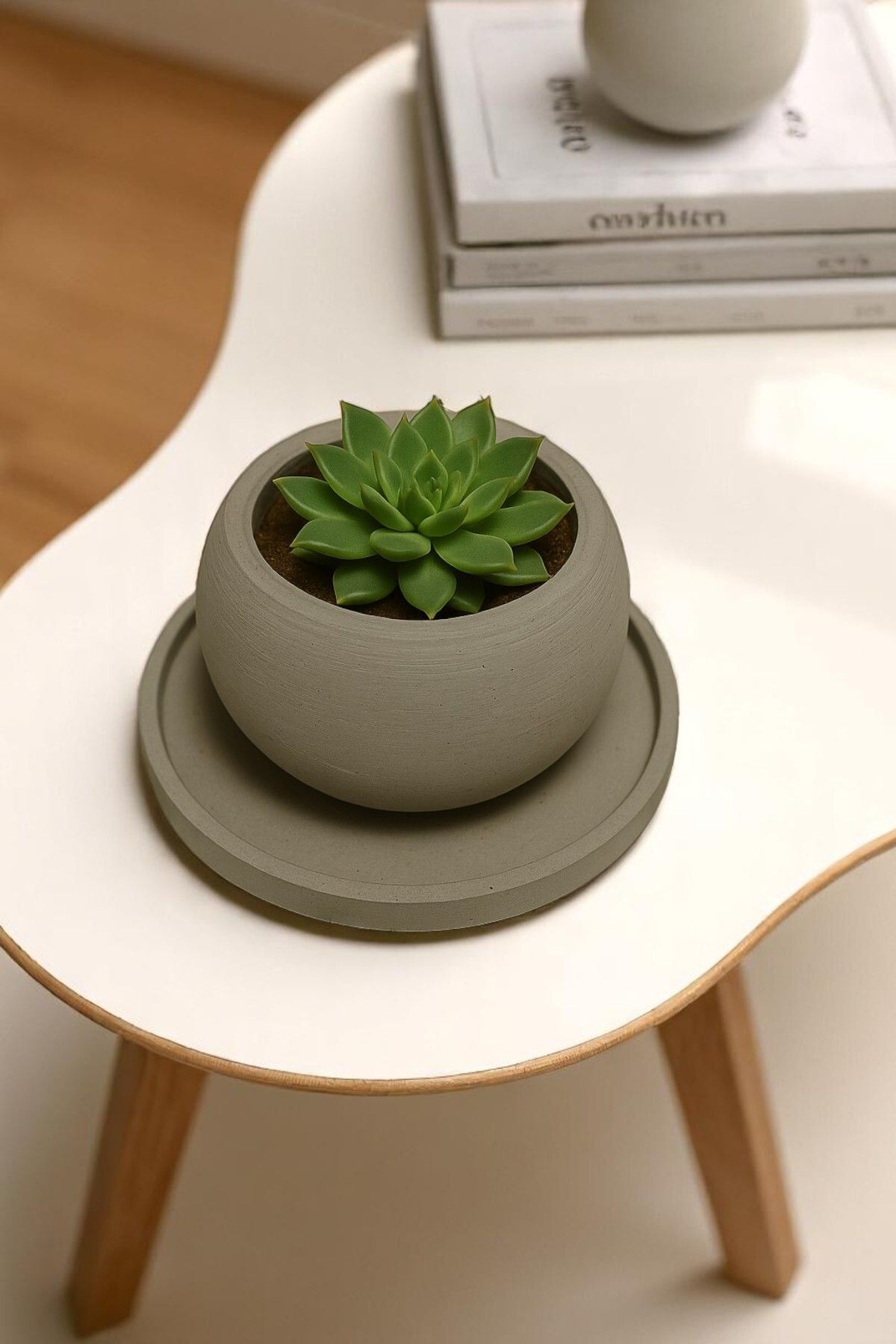 ERSE HOME Dekoratif Tabaklı Gri Renk Beton Yuvarlak Saksı 2' li Set