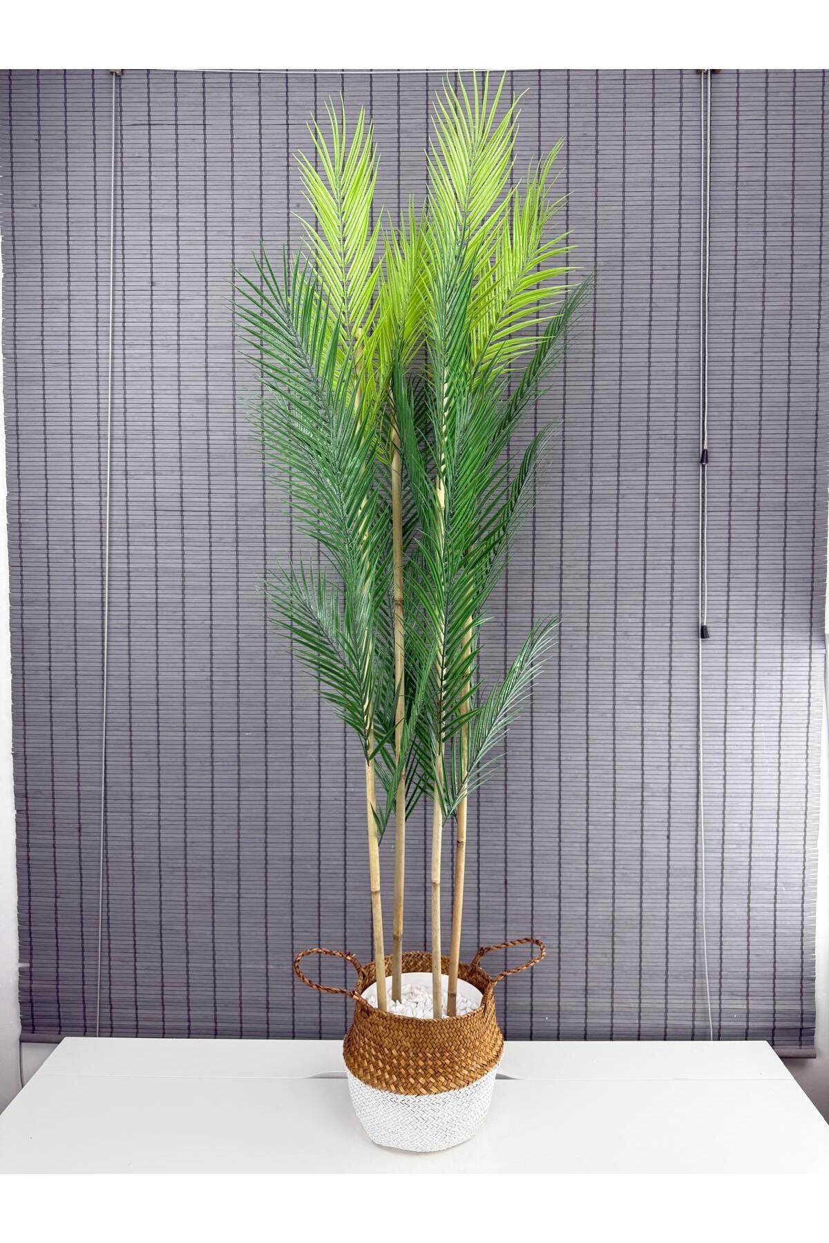 Bahçem Dekoratif Yapay Yapraklı Natural-Beyaz Hasır Bambu Sepetli Areka Palmiye Ağacı 4 Gövde 150cm