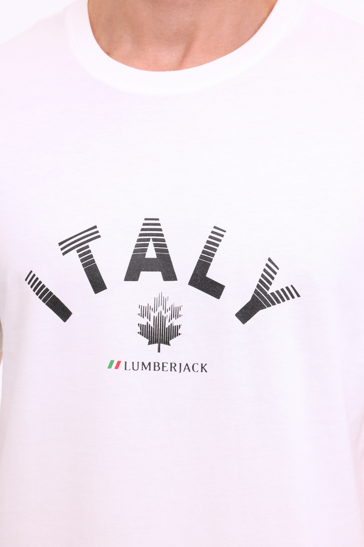 تی شرت مردانه راسته آستین کوتاه | لامبرجک Lumberjack ML AUSTIN 11SD1044 4PR - تصویر 4