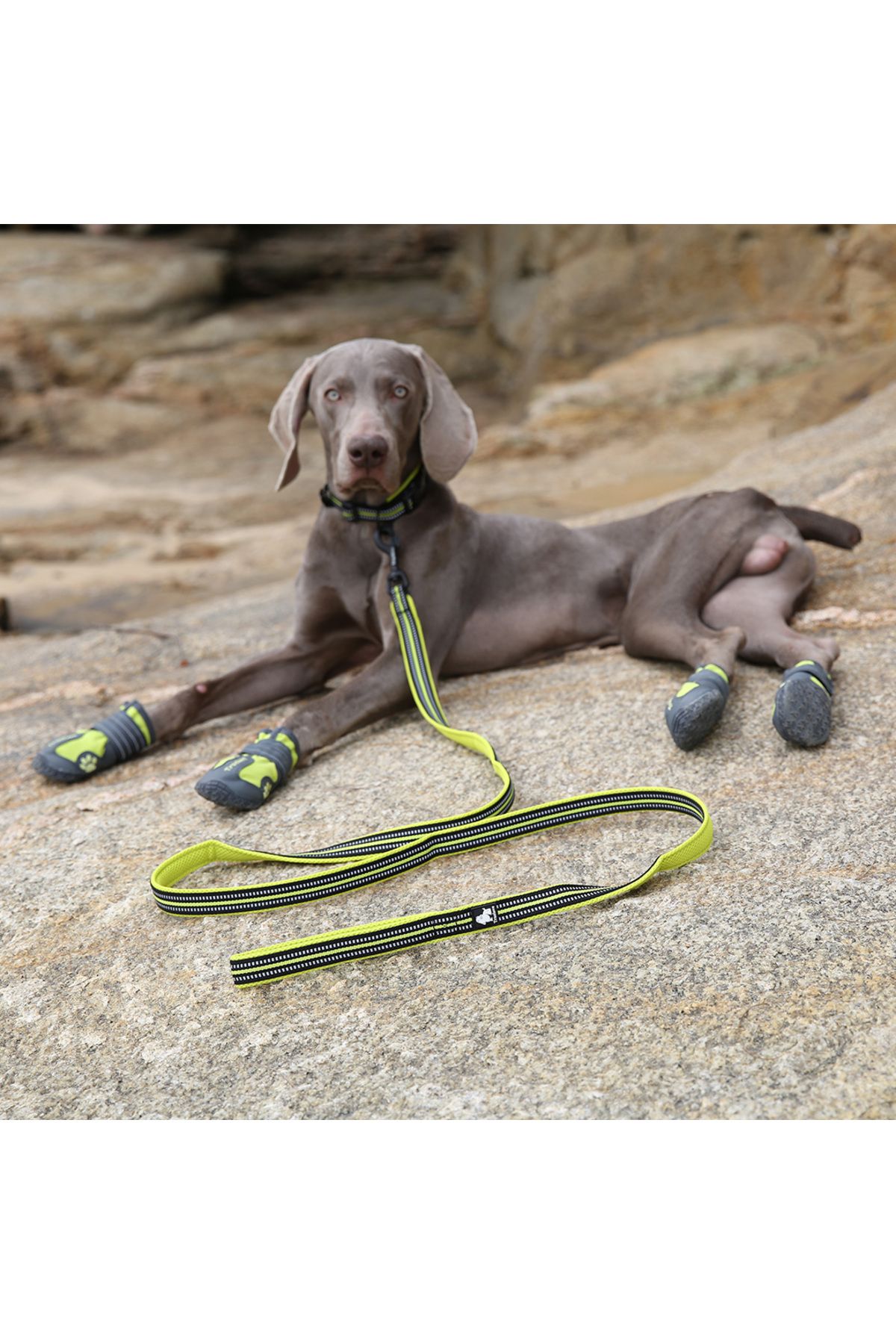 True Love-Brown Leash Strap with Soft Sponge 4