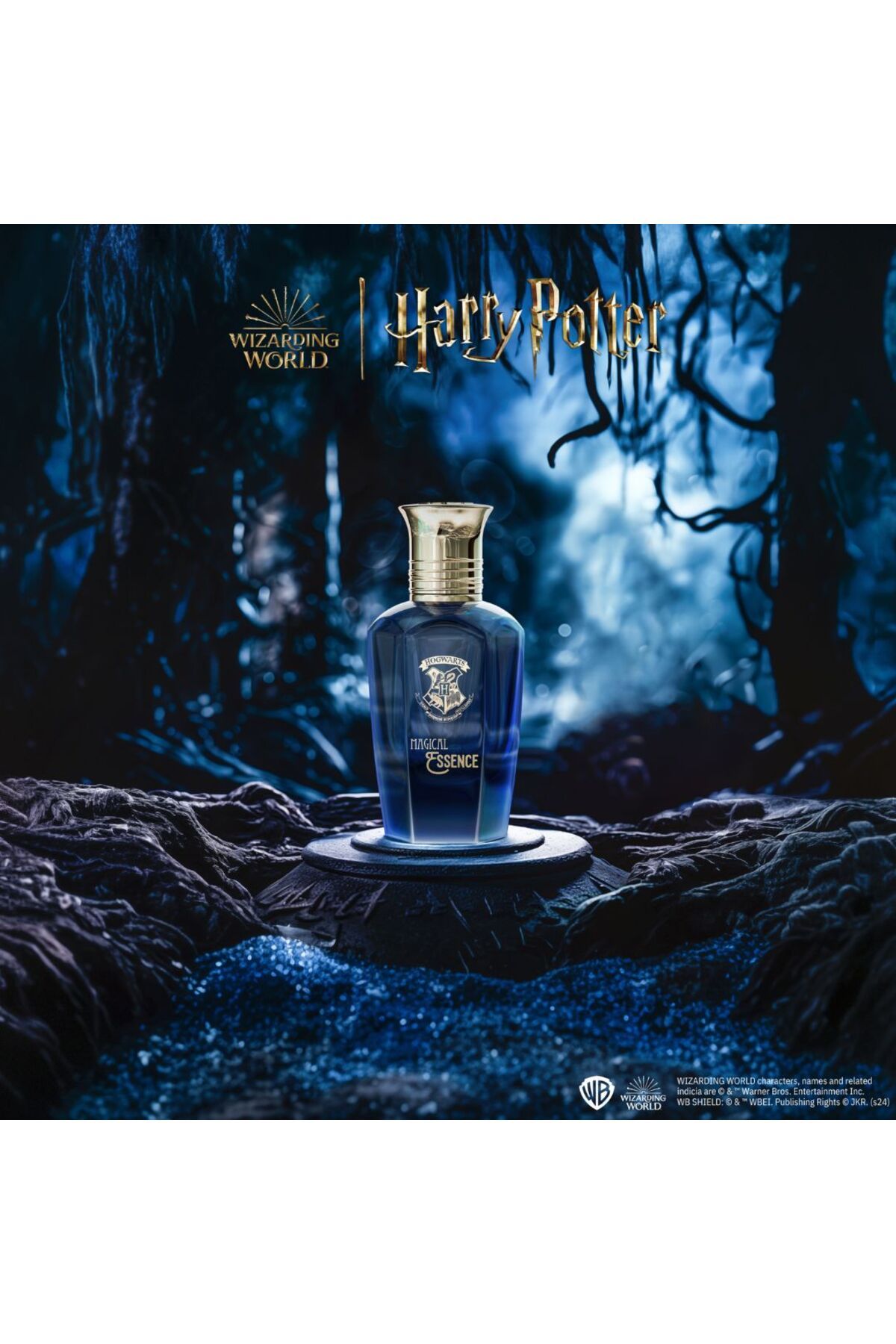 Harry Potter-Eau de parfum for men Hogwarts Magical Essence Wisdom, Harry Potter Wizarding World, 50 ml 4