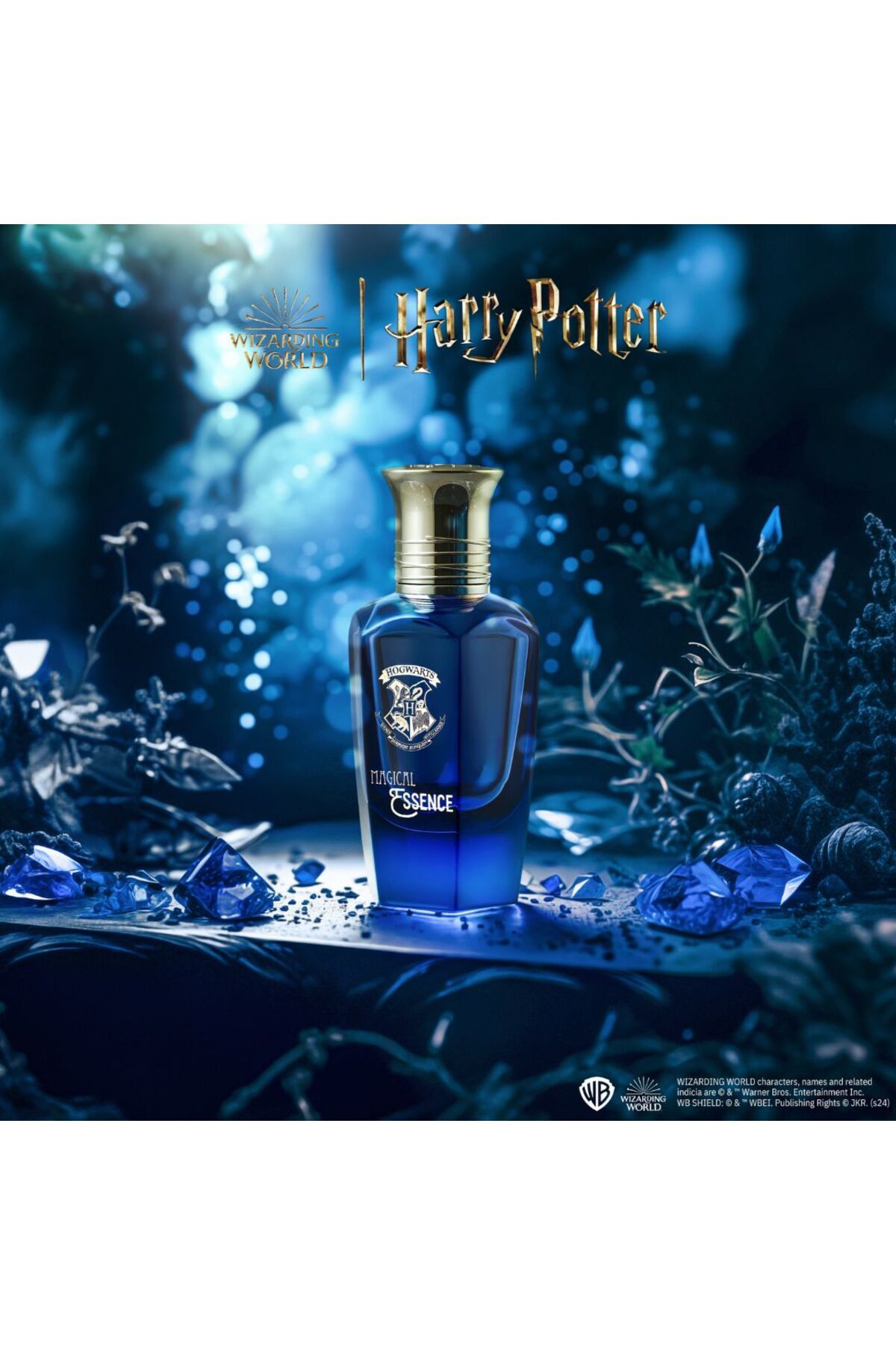 Harry Potter-Eau de parfum for men Hogwarts Magical Essence Wisdom, Harry Potter Wizarding World, 50 ml 3