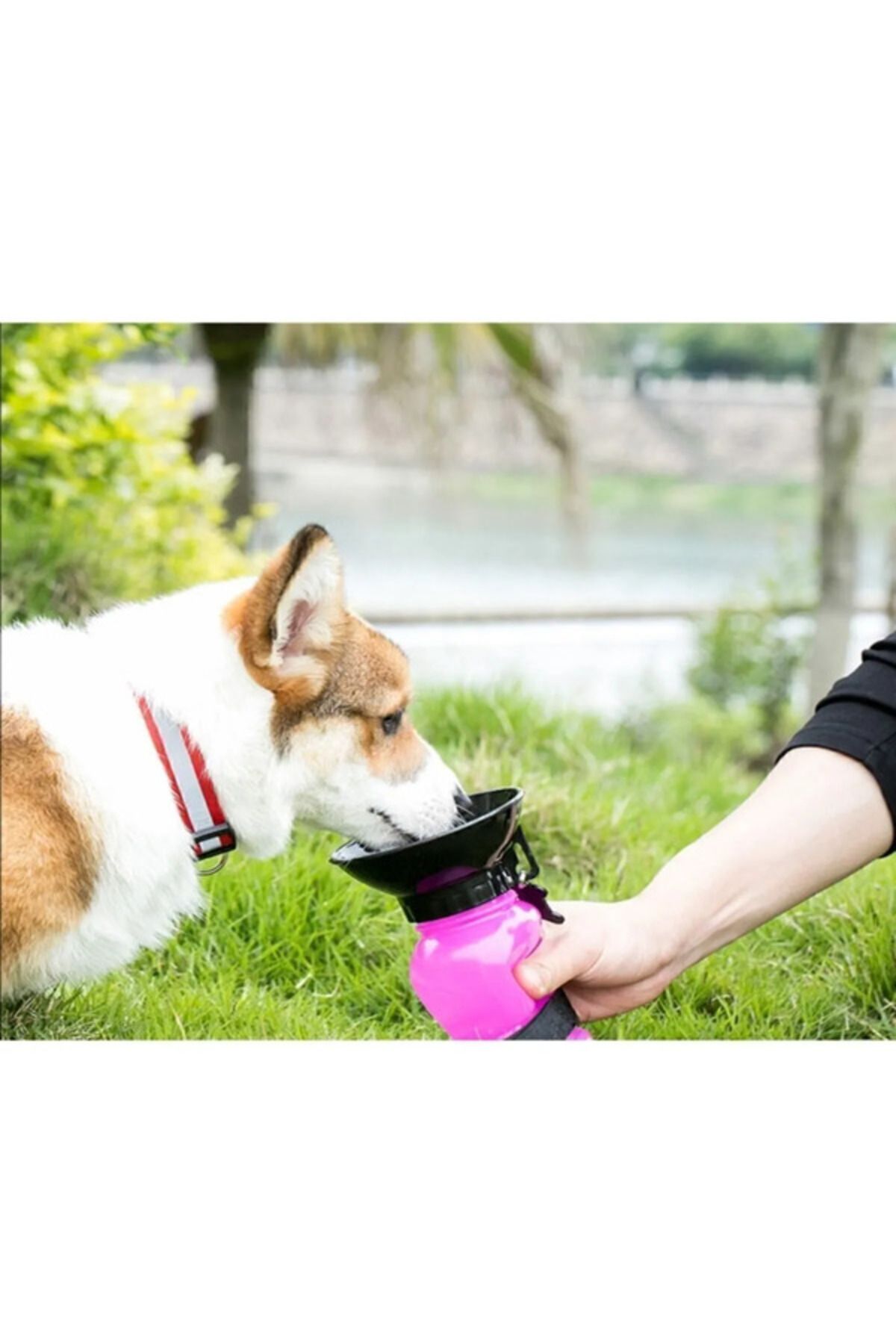 ZooStar 500ml Kedi Ve Köpek Seyahat Suluğu Su Şişesi