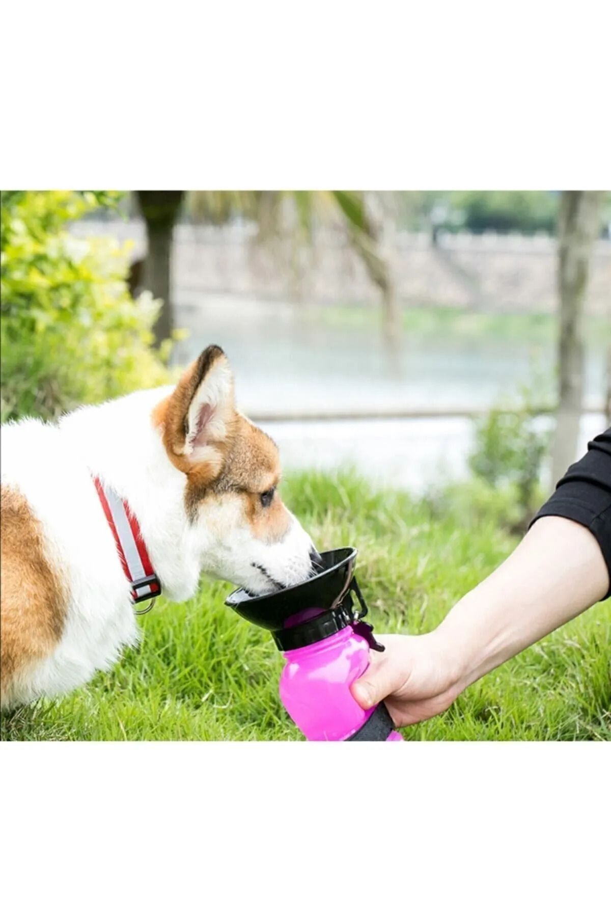 ZooStar 500ml Kedi Ve Köpek Seyahat Suluğu Su Şişesi
