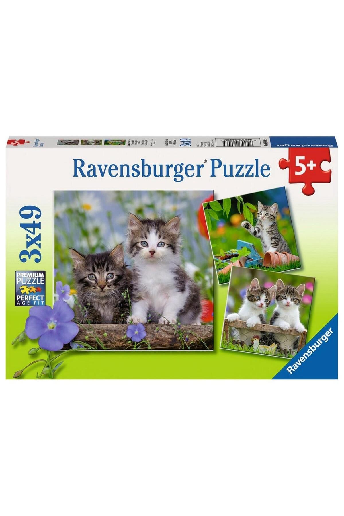 RAVENSBURGER-3 Pieces 49 Piece Puzzle Cute Cats Children's Puzzles for Ages 5 and up S 1