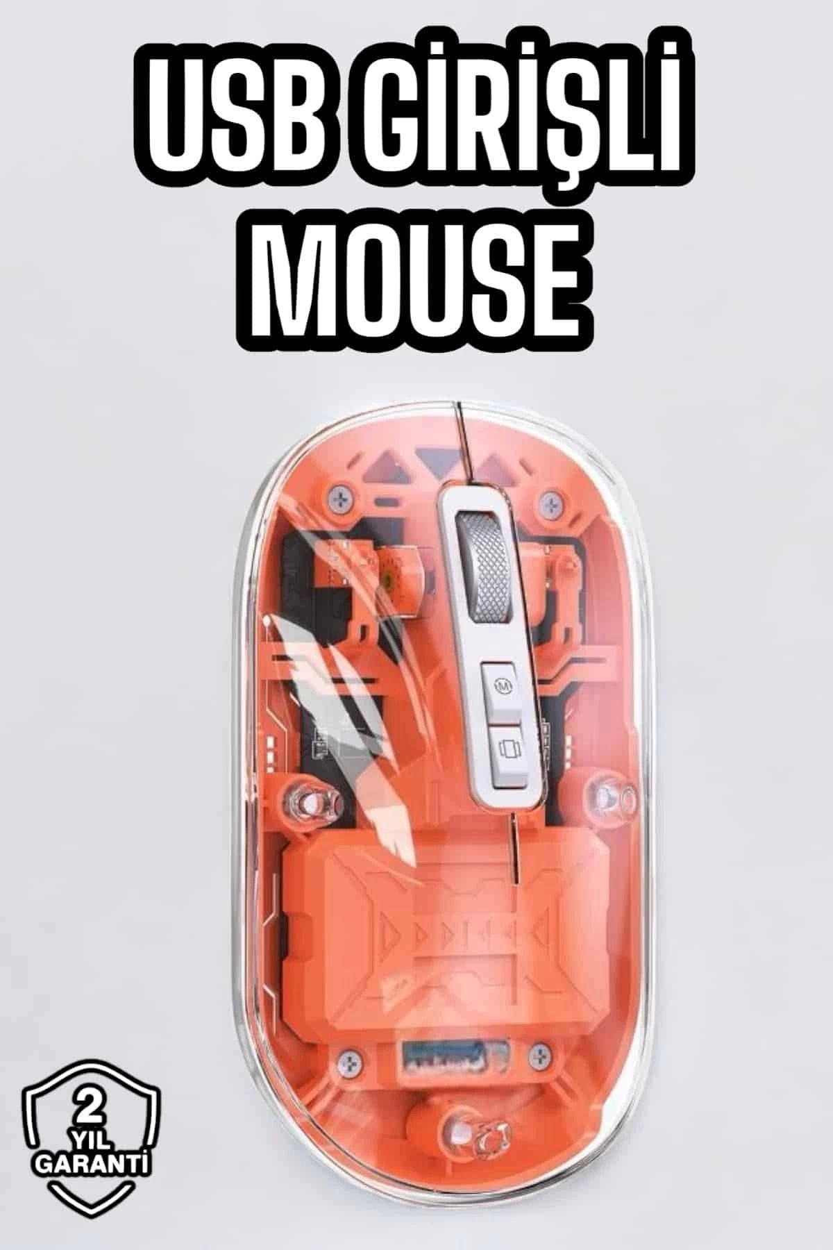 ÖYKÜ VE YİĞİT Sessiz Kablosuz USB Girişli Mouse Fare Yüksek Performanslı
