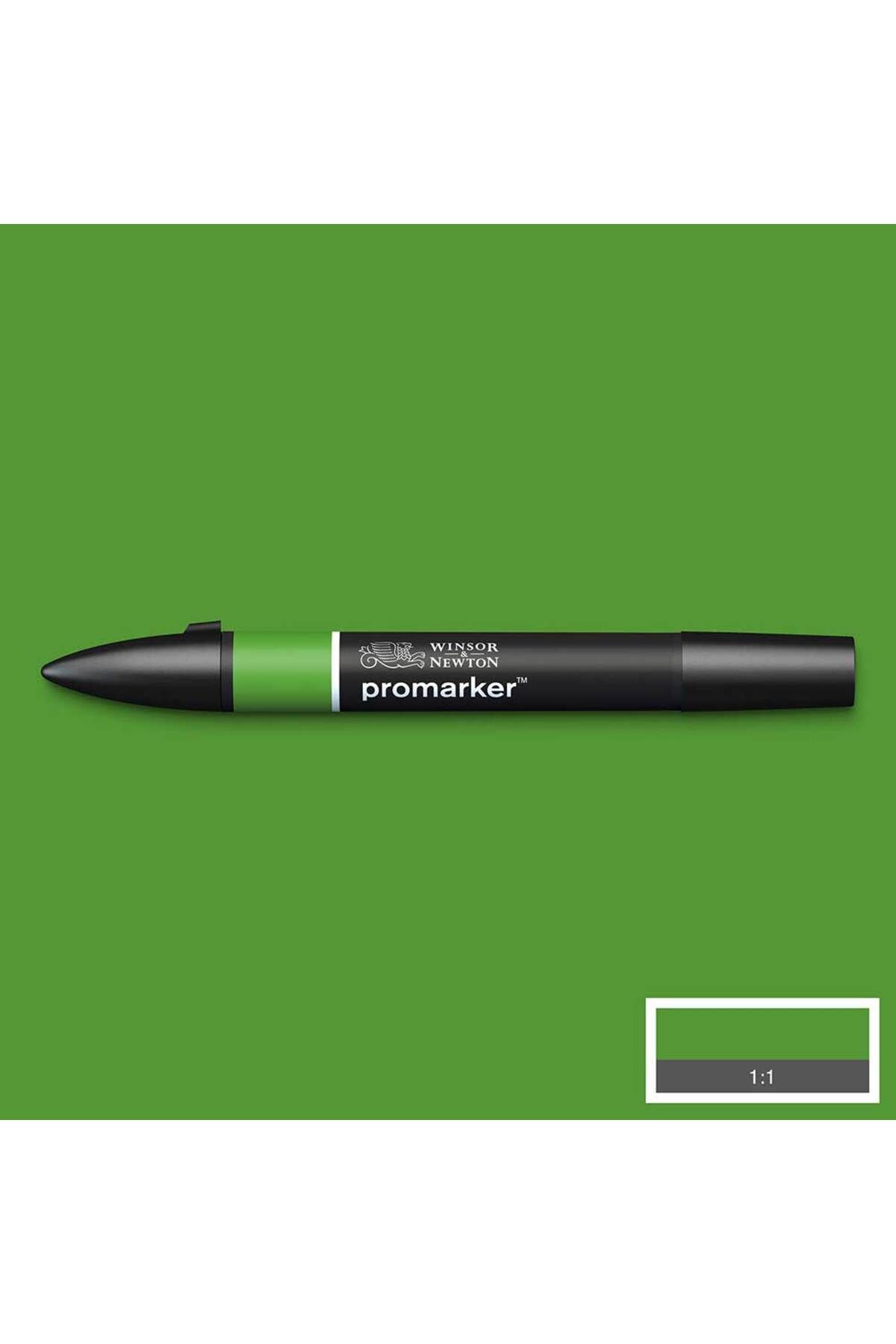 Winsor Newton Winsor & Newton Promarker Forest Green 068 (G356)