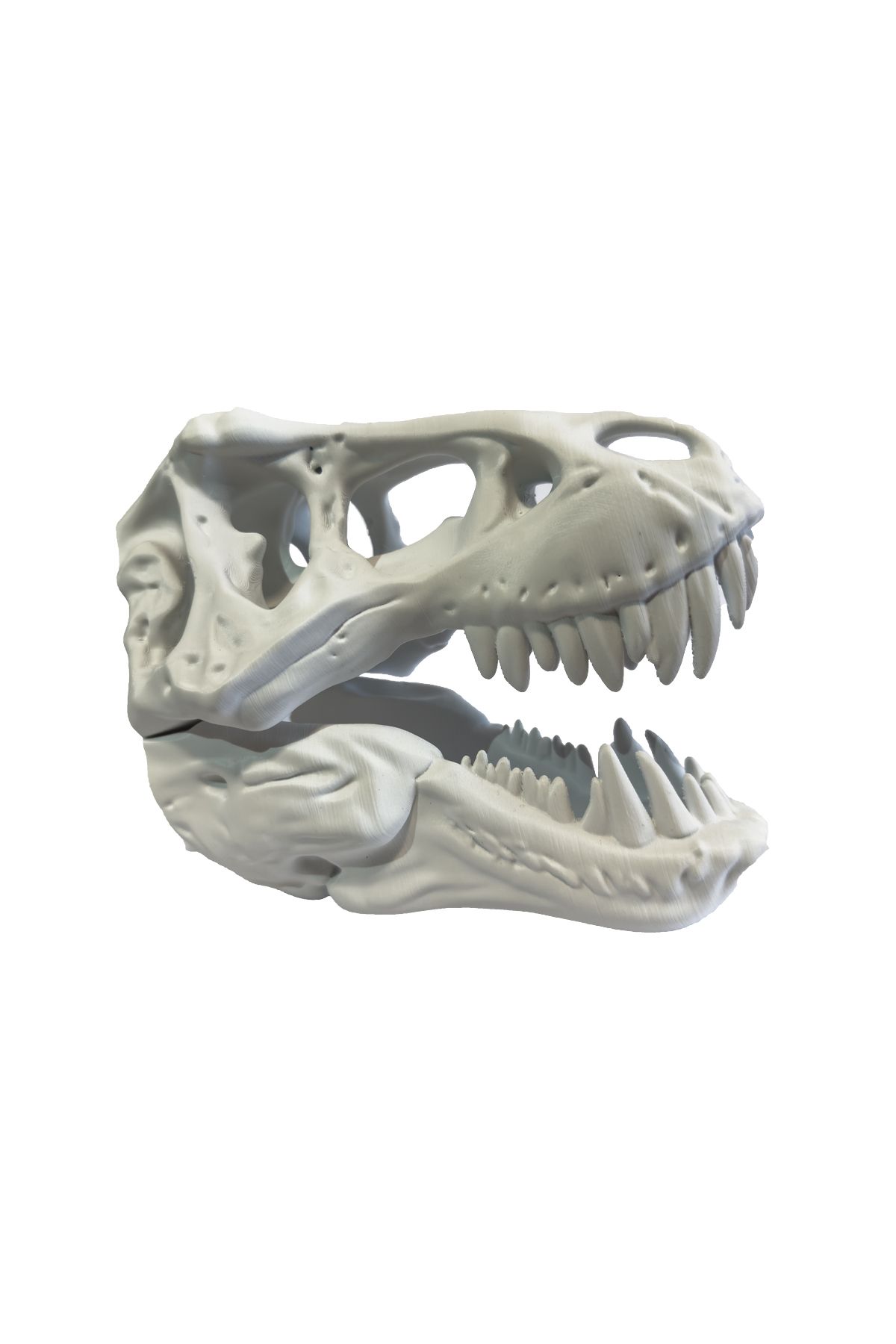 Printer Lab T-Rex Kafa Tası