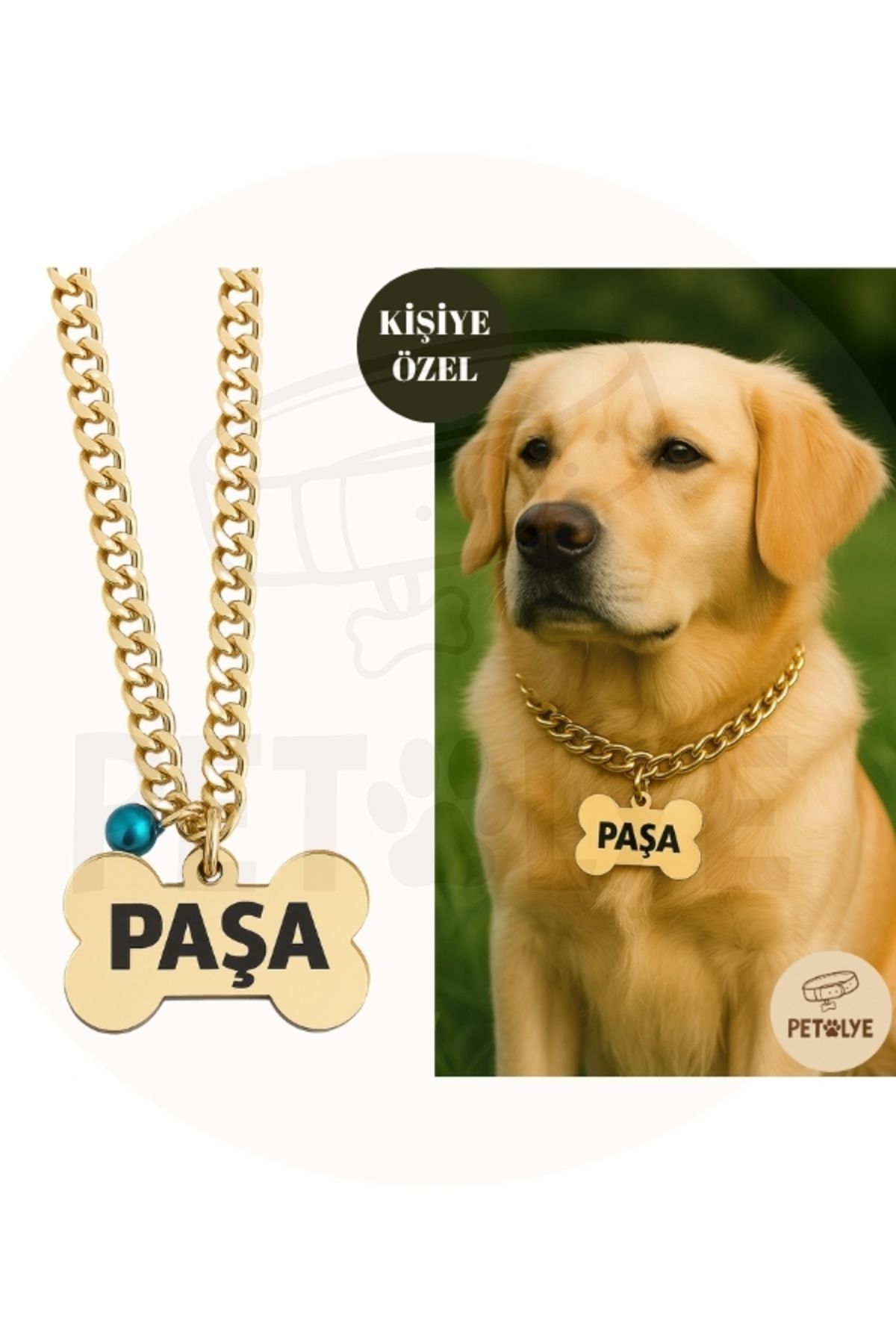 Petölye İsimli Köpek Tasması Köpek Isimlik Gold Pleksi Künye, Paslanmaz Metal Zincir Tasma