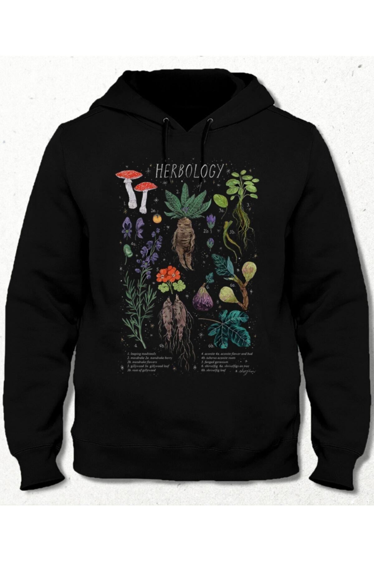 Pisa Art Herbology Siyah Cepsiz Kapşonlu Sweatshirt