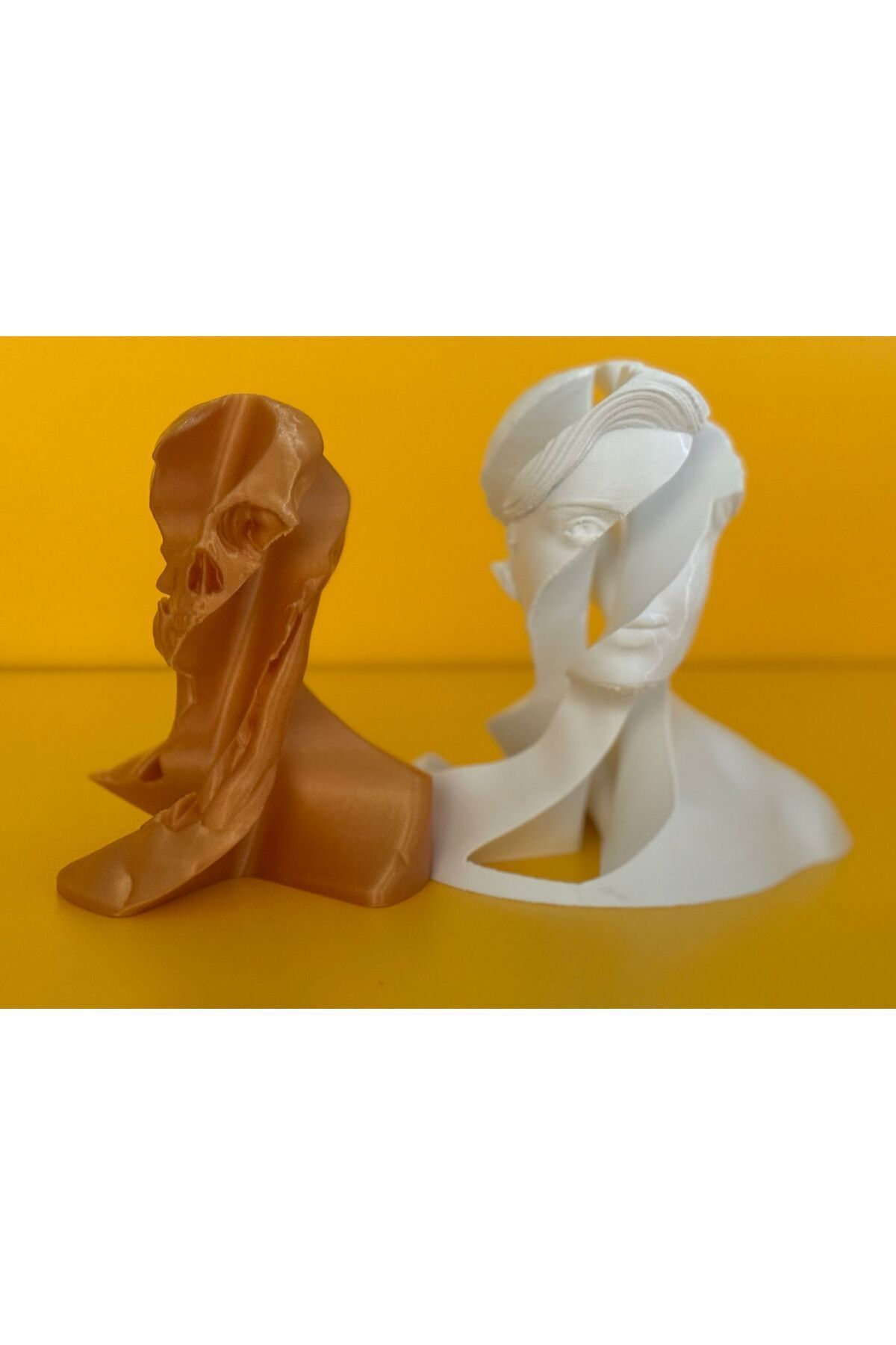 SerenityHaven Girdaplar Anatomisi Biblo