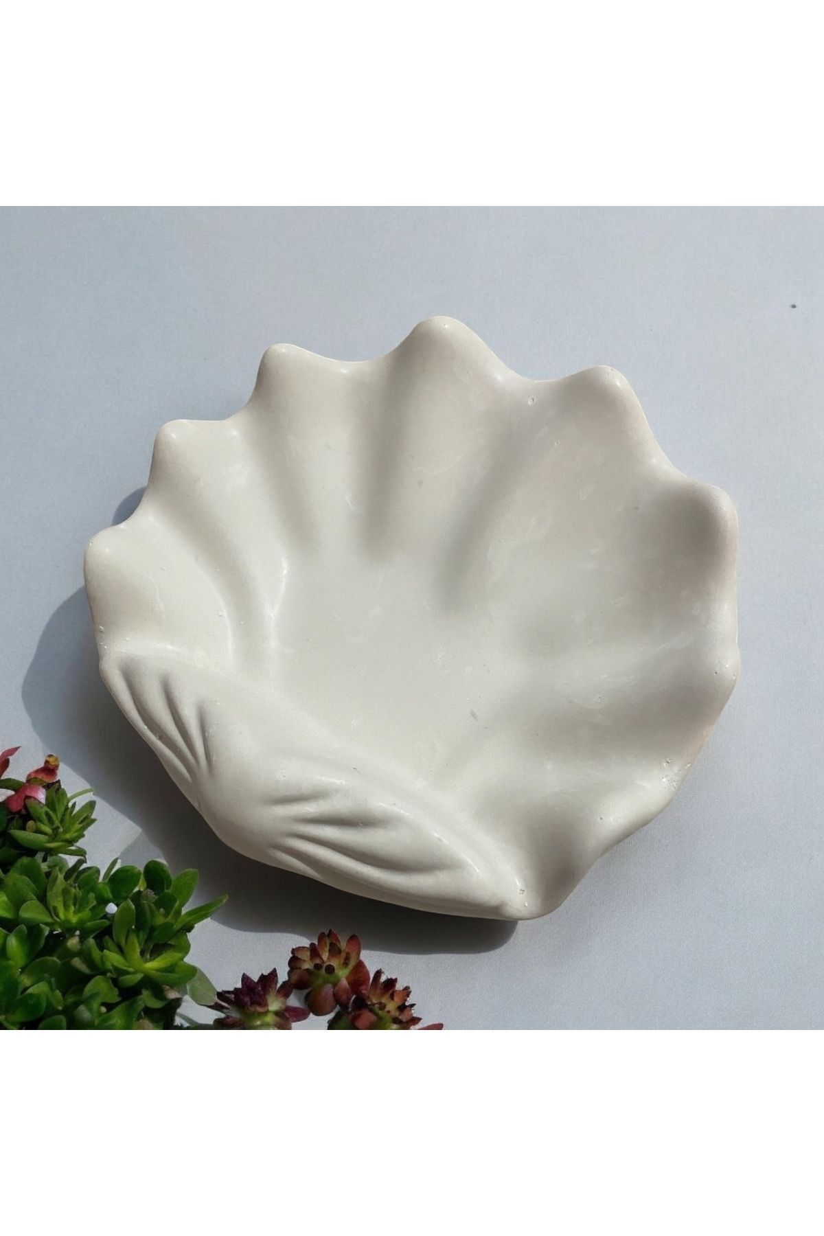 SerenityHaven Büyük deniz kabuğu istiridye takı kase sunumluk beton ham dekoratif