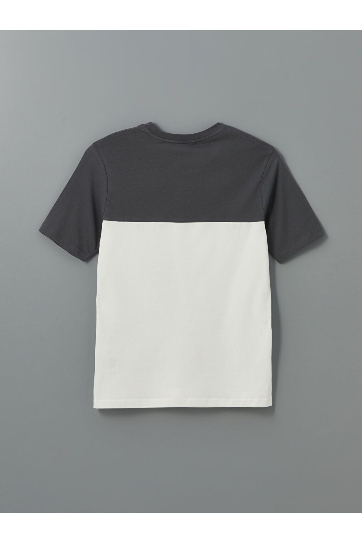 LC Waikiki-Ανδρικό μπλουζάκι Crew Neck Color Block 6