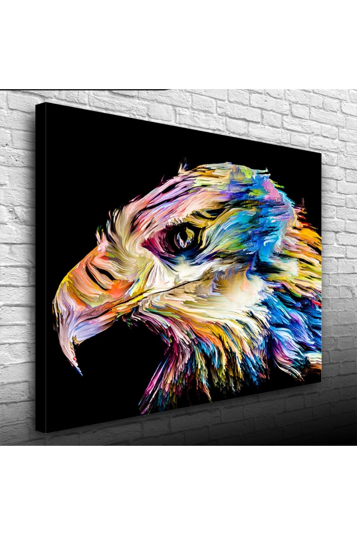 Kanonik Education Çok ve Canlı Renklerde Dekoratif Şahin Kanvas Tablo 50 x 70