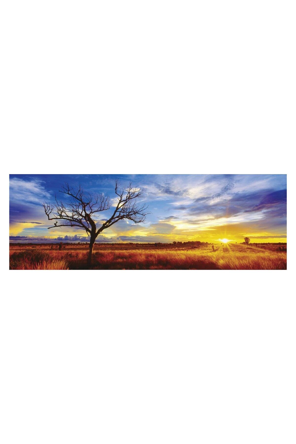 Schmidt-Puzzle panoramic - Desertul Oak in lumina apusului, 1000 piese 1