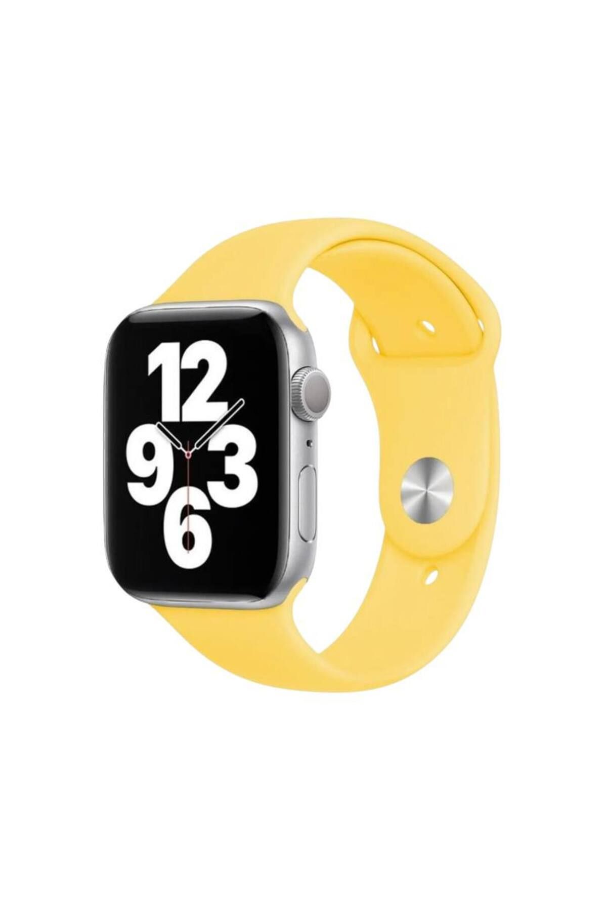 Bruntoo BR Apple Watch Series 10/9/8/7/6/5/4/SE/3/2/1 42mm-41mm-40mm-38mm Uyumlu M/L Beden Düz Silikon kordon .