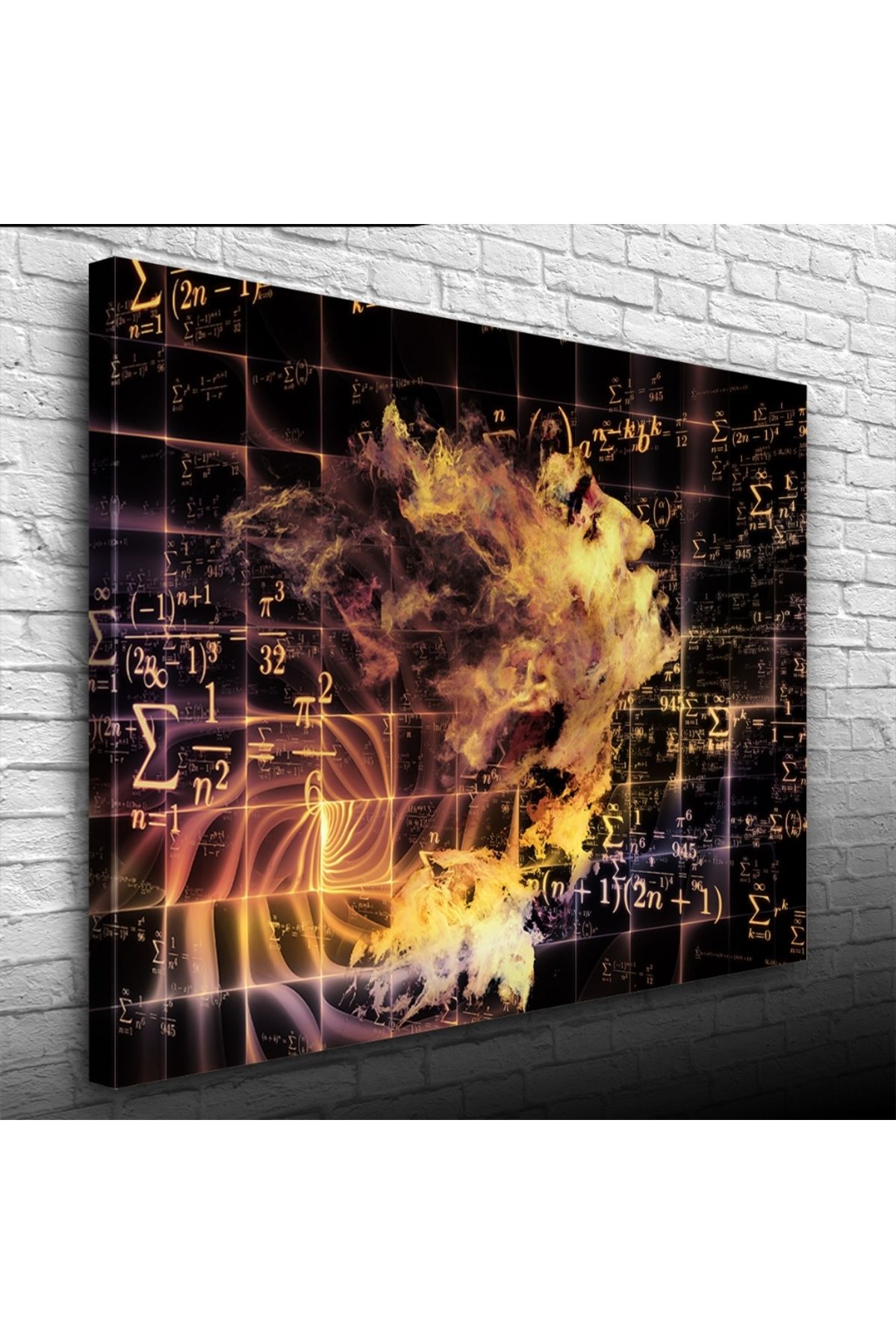 Kanonik Education Soyut Matematikçi ve Formüller Kanvas Tablo 50 x 70