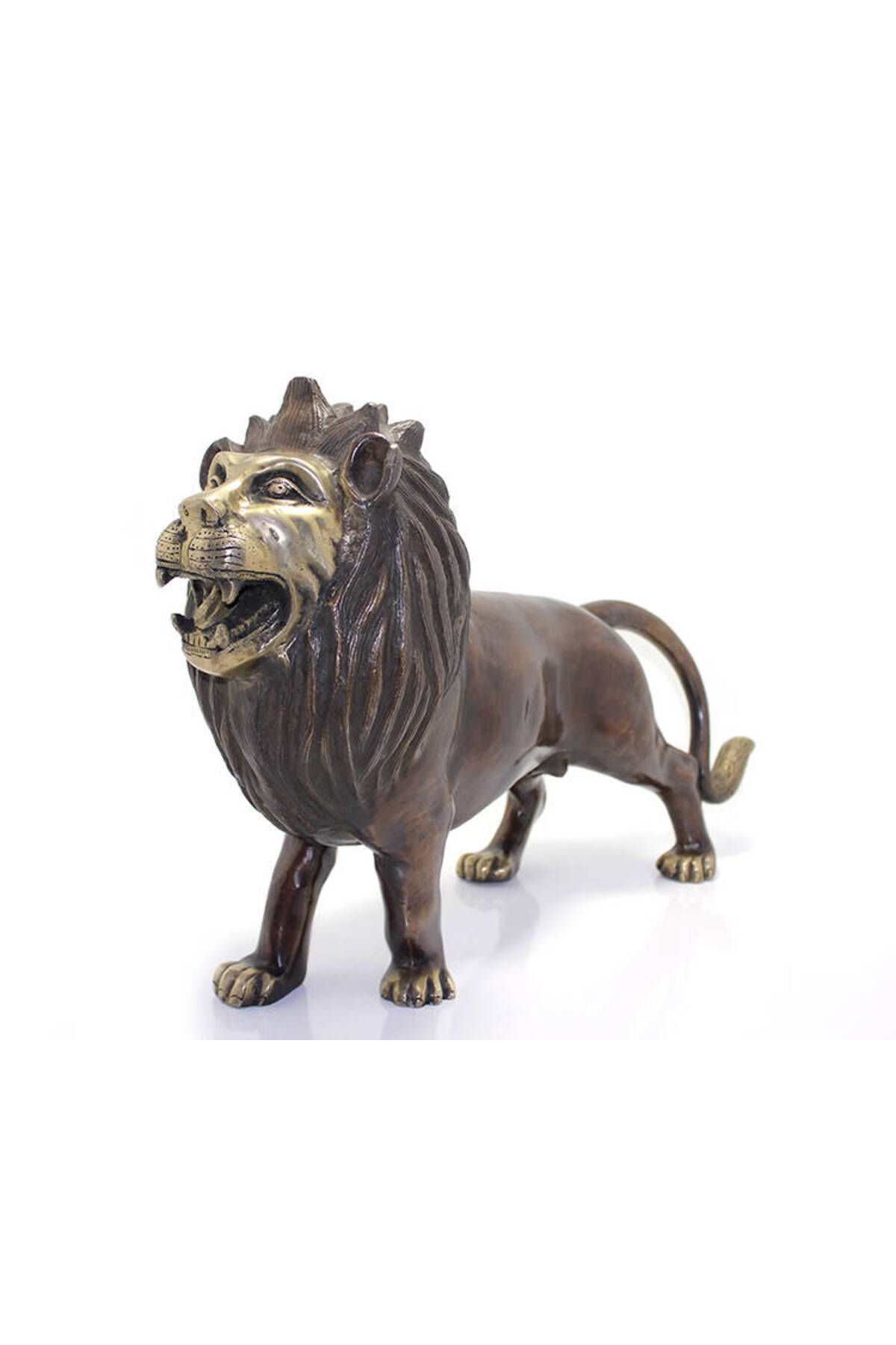 Vexahome Metal Aslan Biblosu 60 Cm