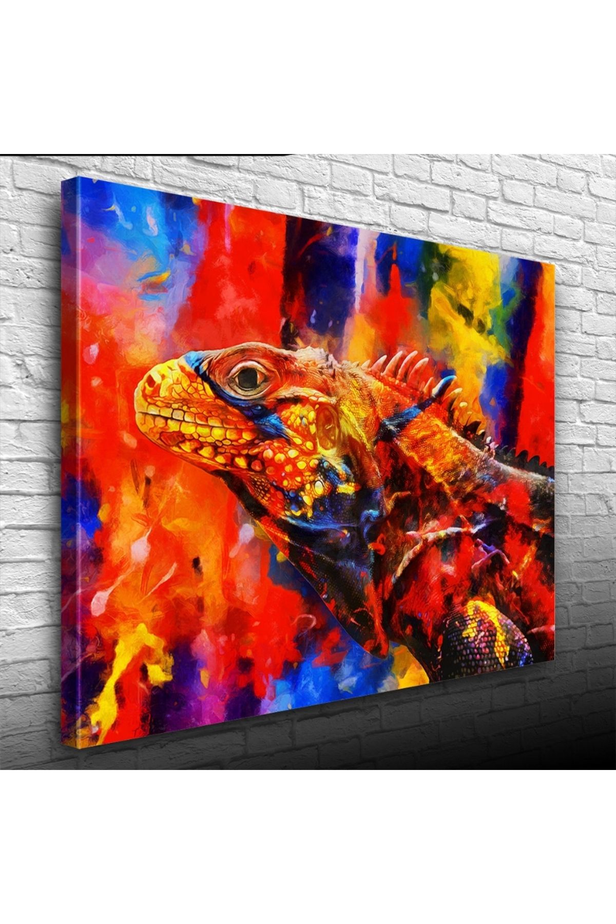 Kanonik Education Rengarenk İguana Kanvas Tablo 50 x 70