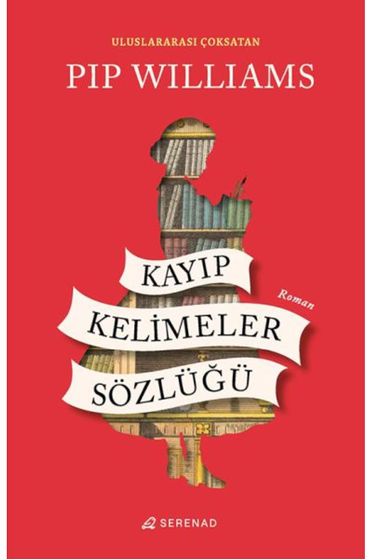 Destek Yayınları Kayıp Kelimeler Sözlüğü