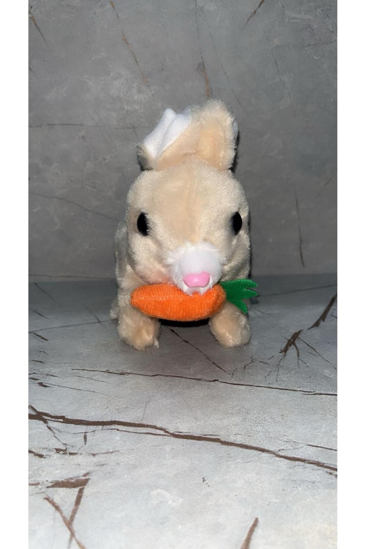 emenglobal pembe Havuçlu Yürüyen, Sesli Hareketli Sevimli Peluş Bunny Tavşan - Sweet Bunny