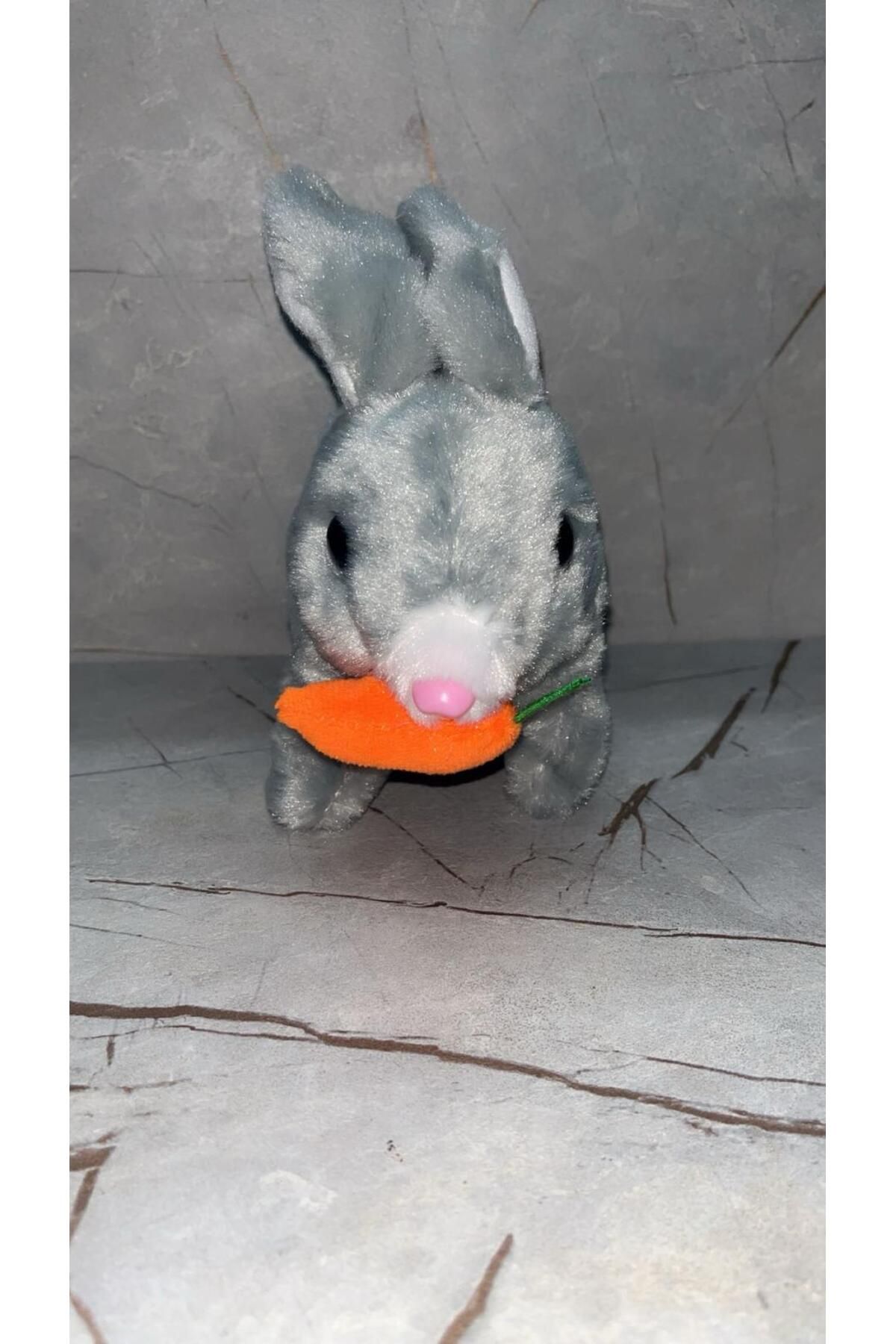 emenglobal pembe Havuçlu Yürüyen, Sesli Hareketli Sevimli Peluş Bunny Tavşan - Sweet Bunny