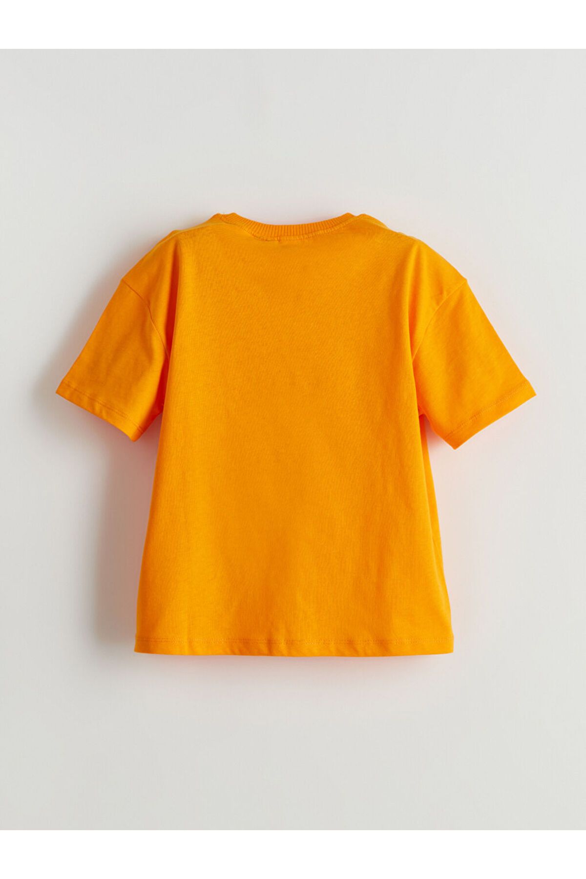LC Waikiki-Lcw Printed Boys' T-Shirt and Shorts 2-Piece 7