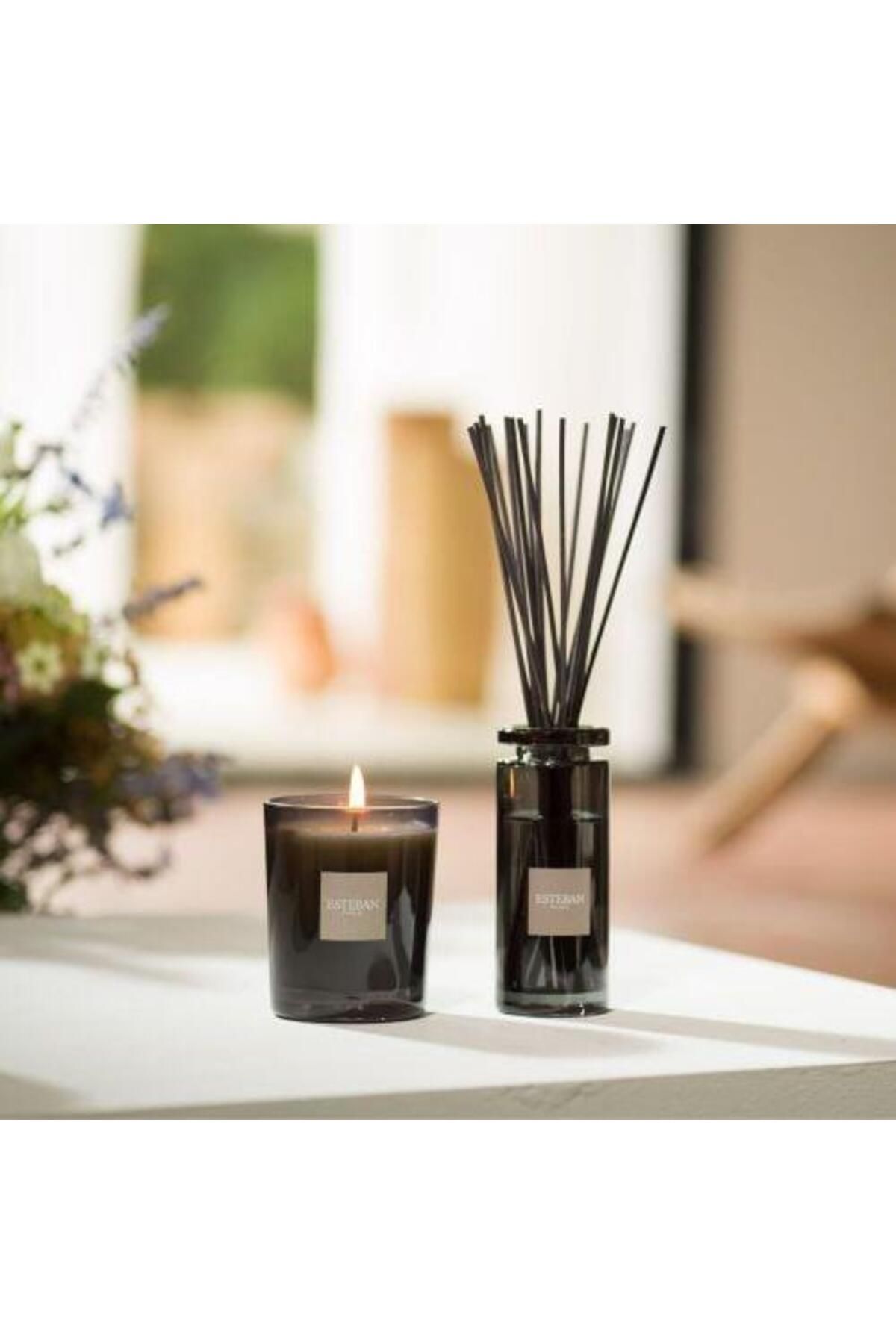 Esteban Paris-Figue Noire Perfume Diffuser 100ml - 2