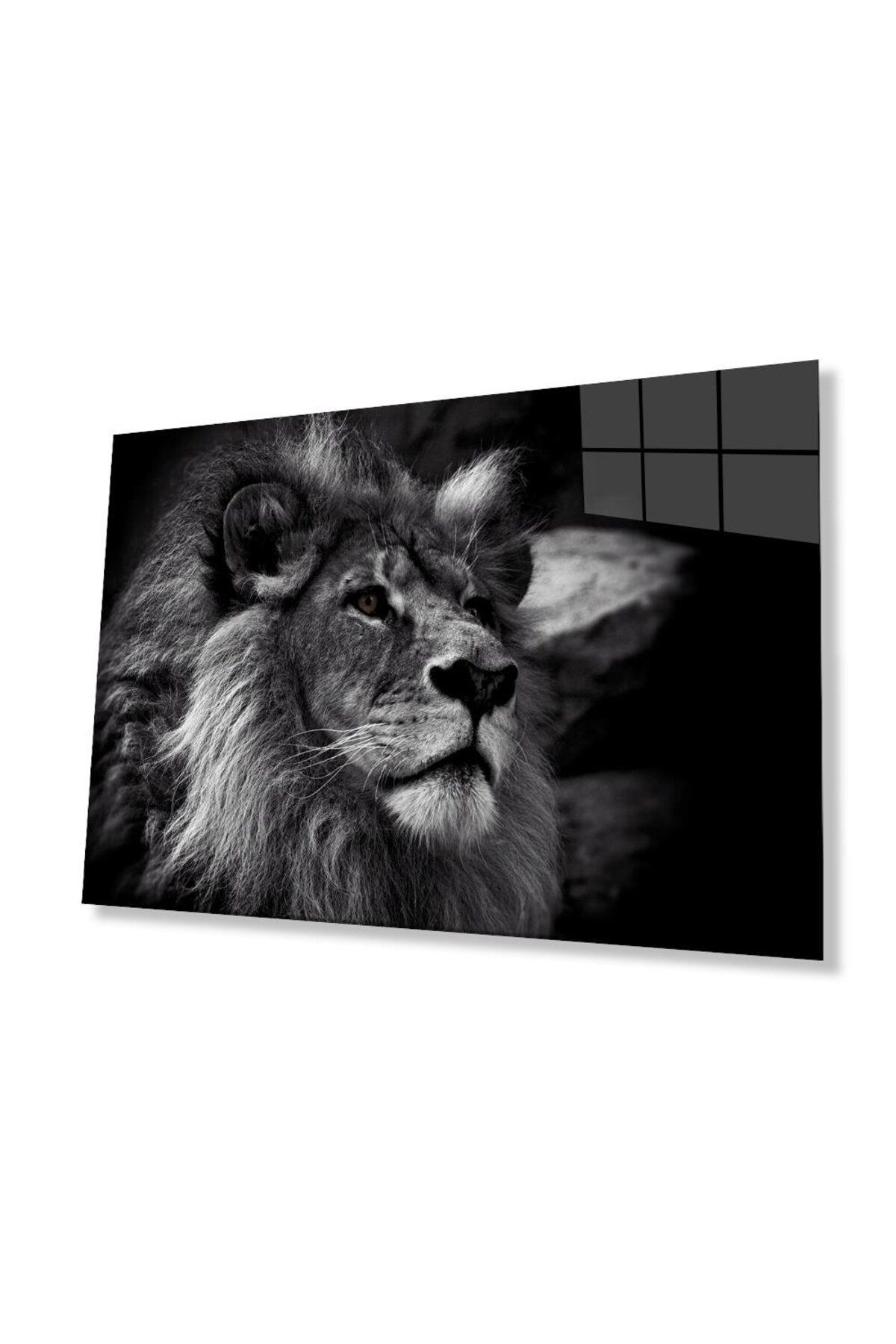 idealizbiz Aslan Cam Tablo 4mm Dayanıklı Temperli Cam