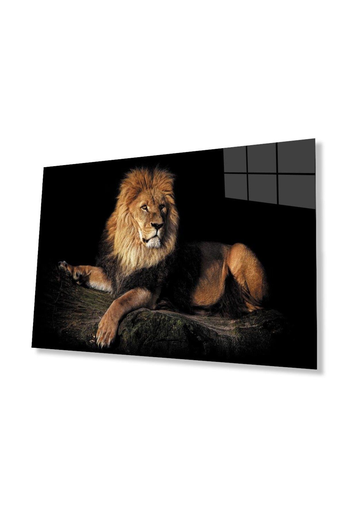 idealizbiz Aslan Cam Tablo 4mm Dayanıklı Temperli Cam
